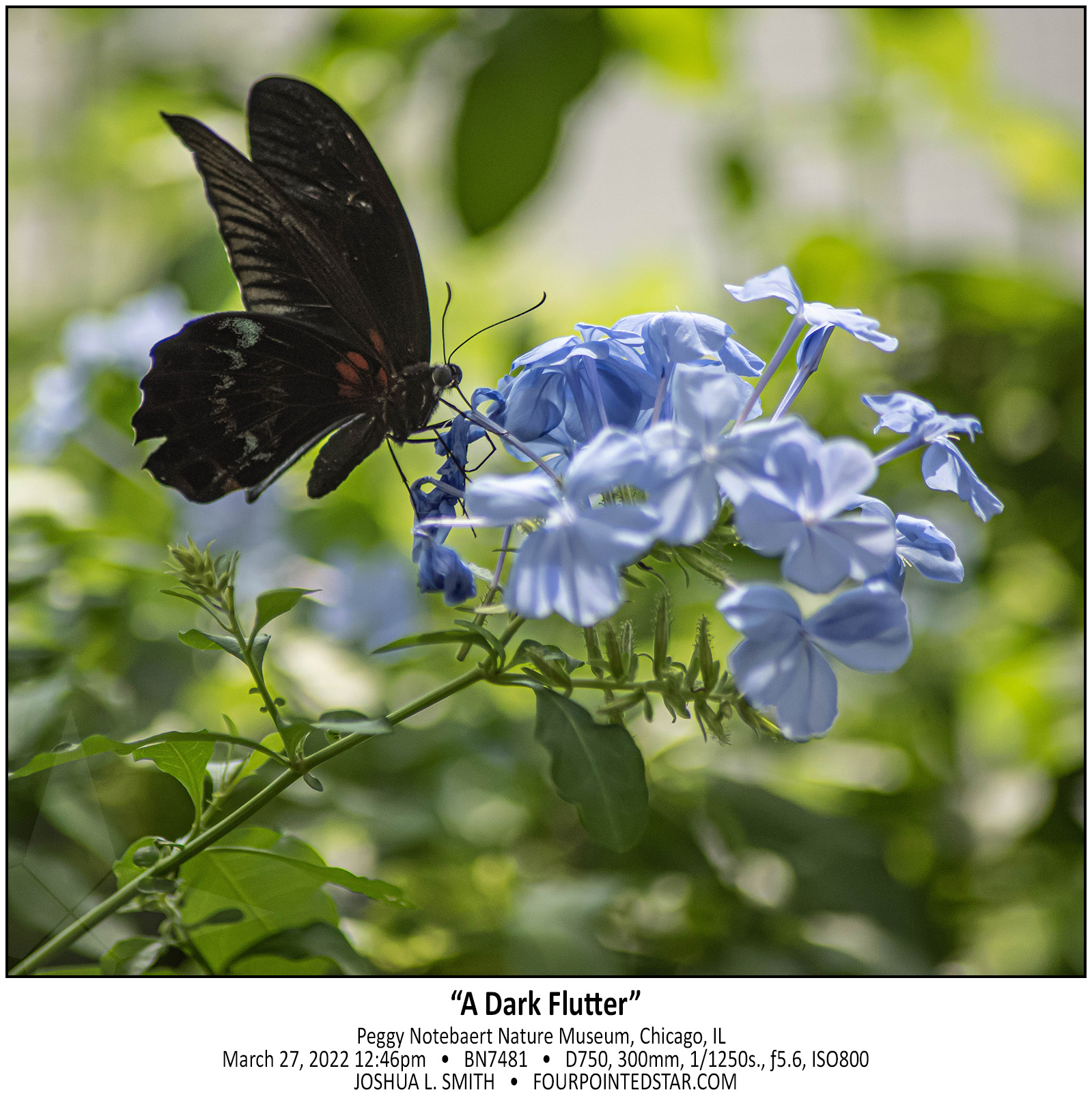 BN7481 220327 124618