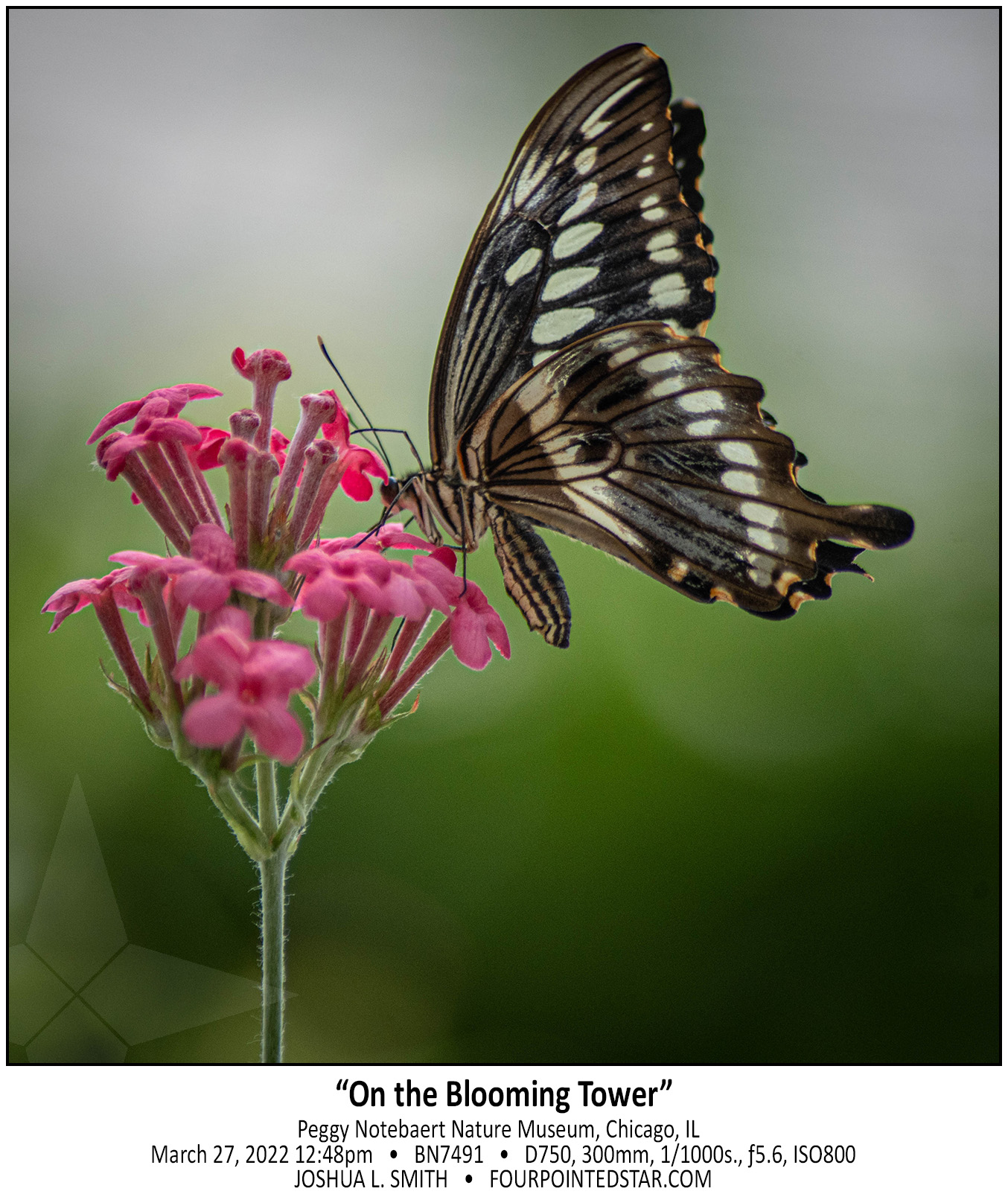 BN7491 220327 124839