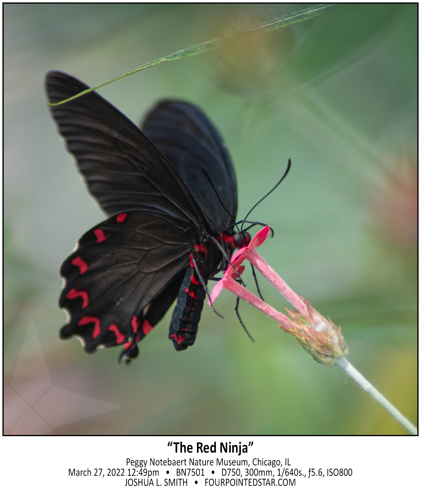 BN7501 220327 124923