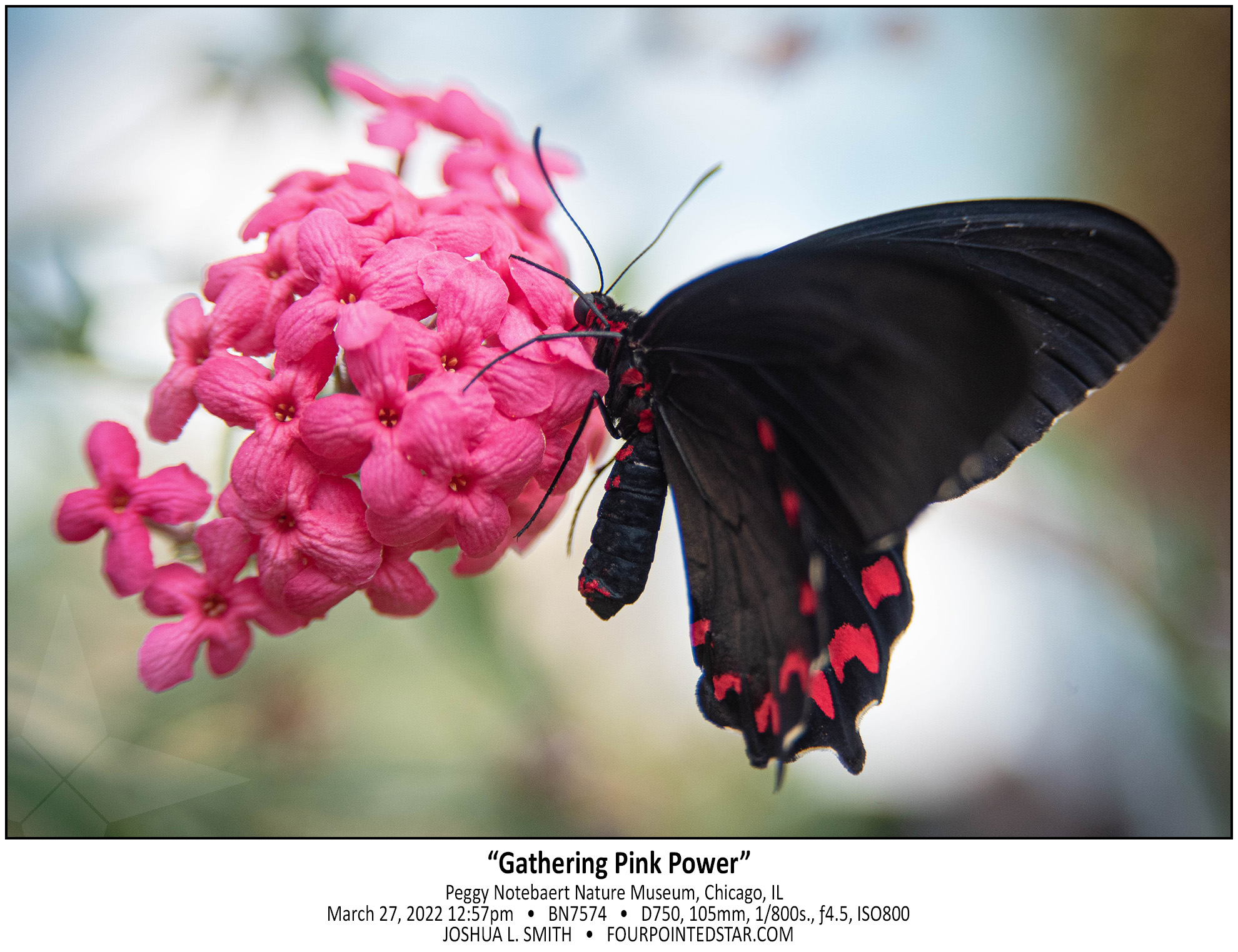 BN7574 220327 125709