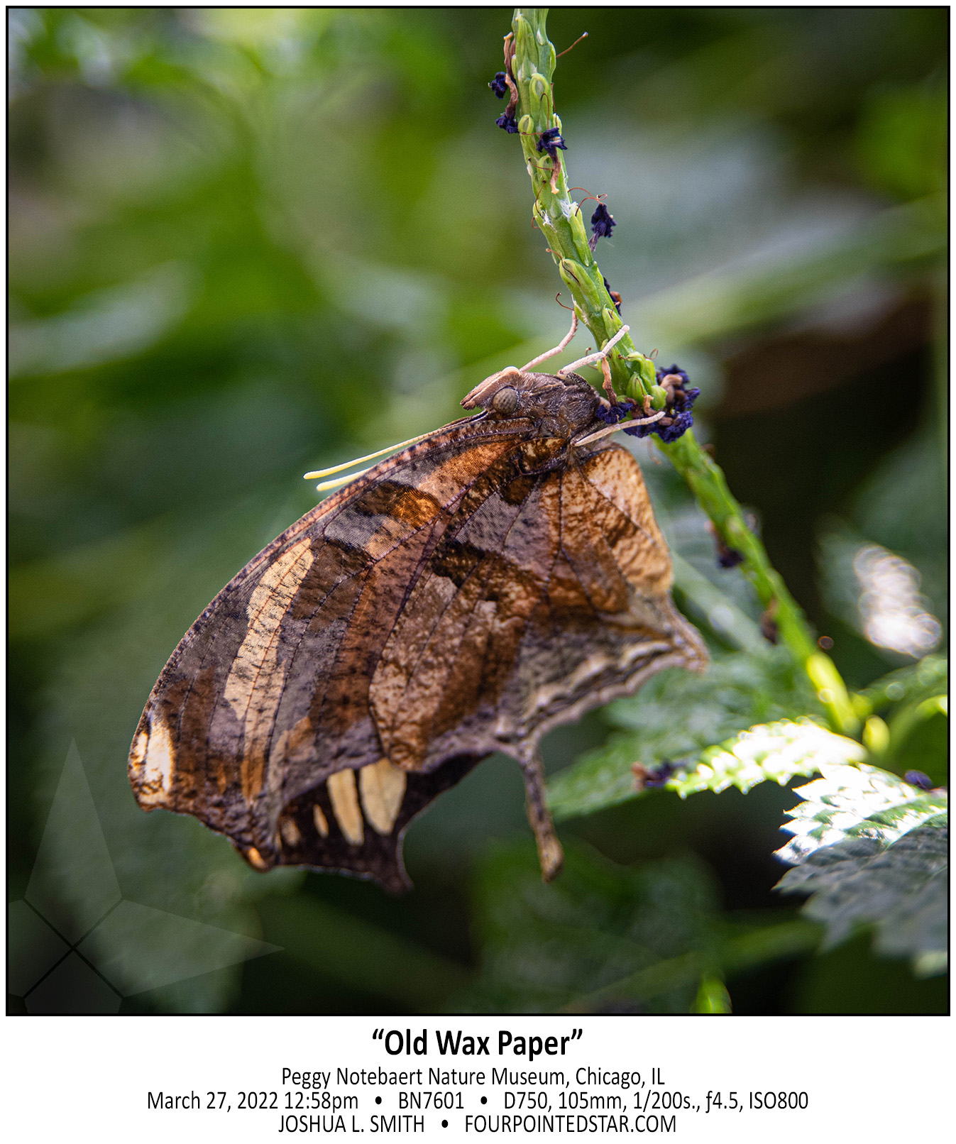 BN7601 220327 125849