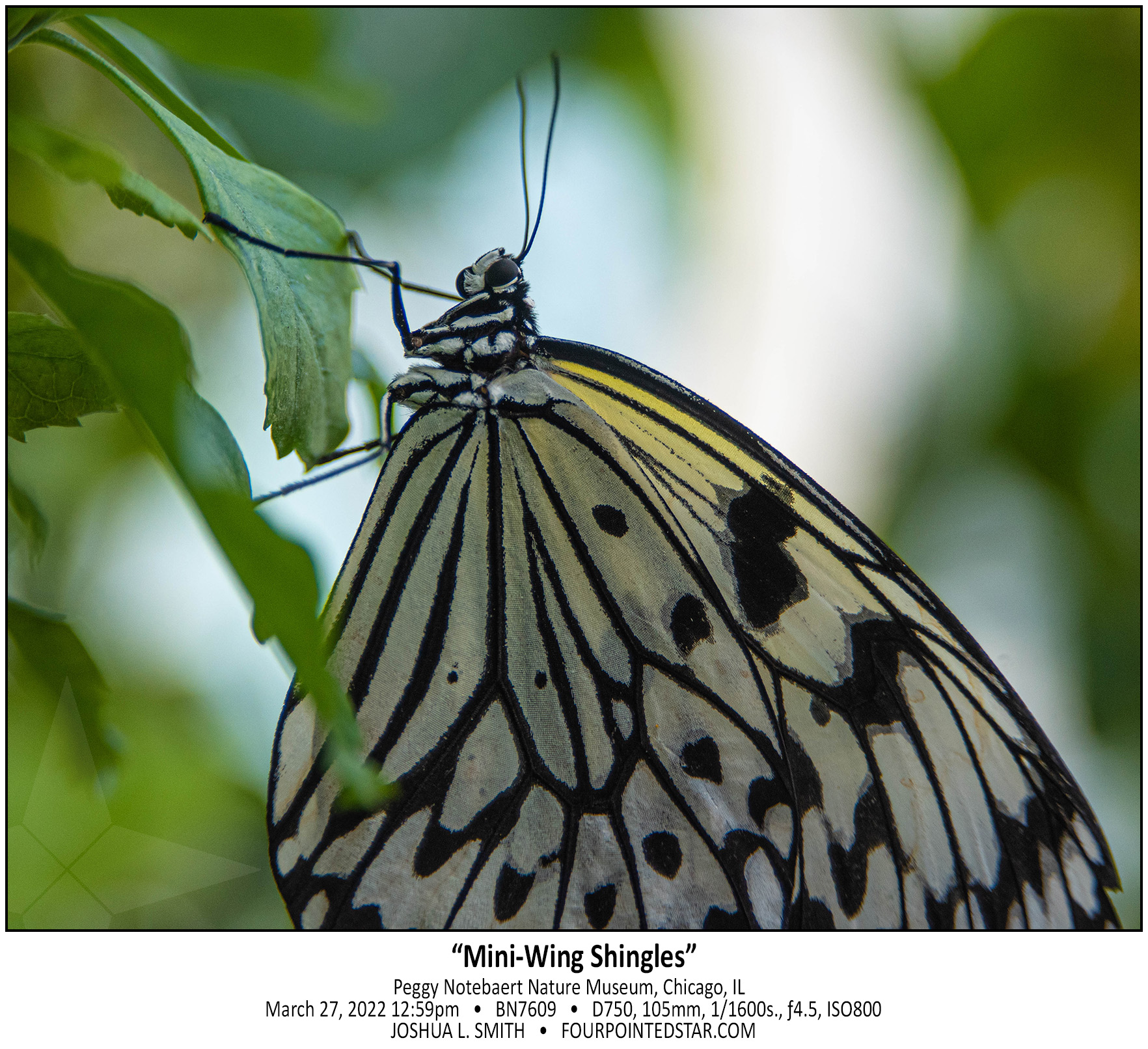 BN7609 220327 125952