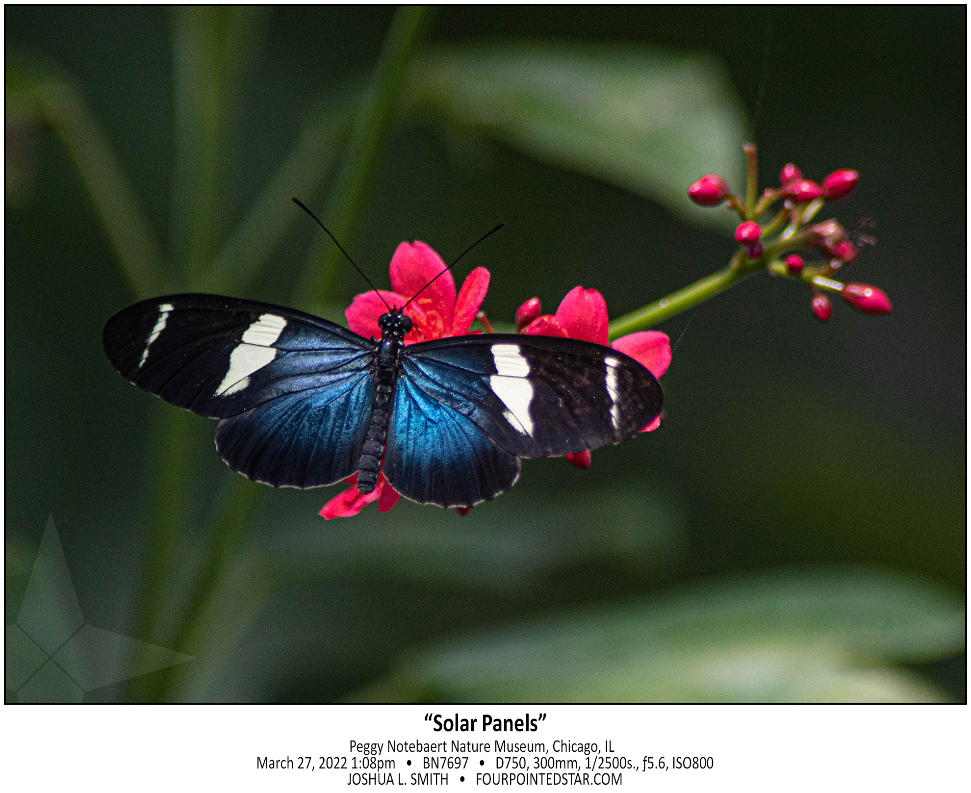 BN7697 220327 130808