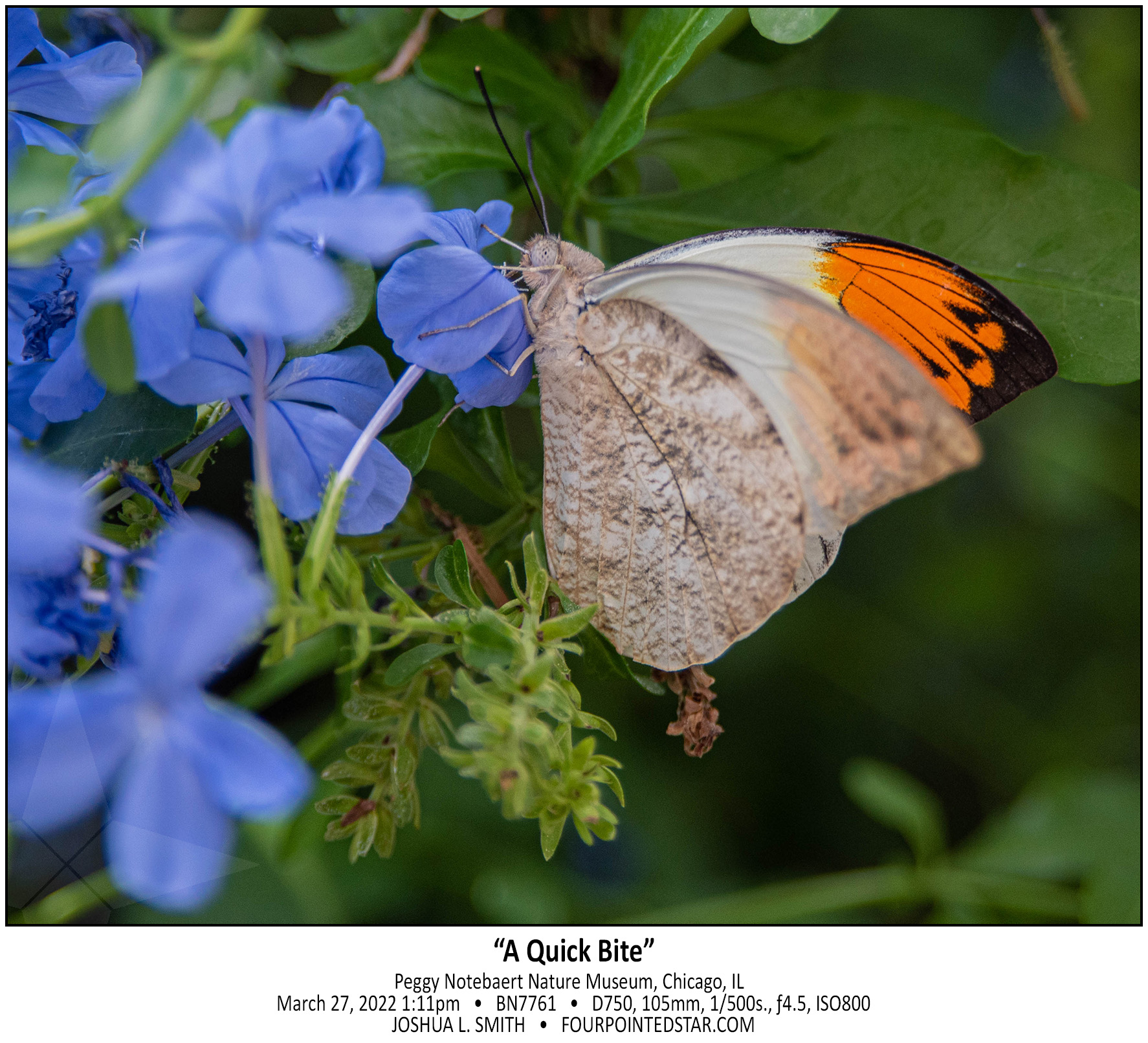 BN7761 220327 131143