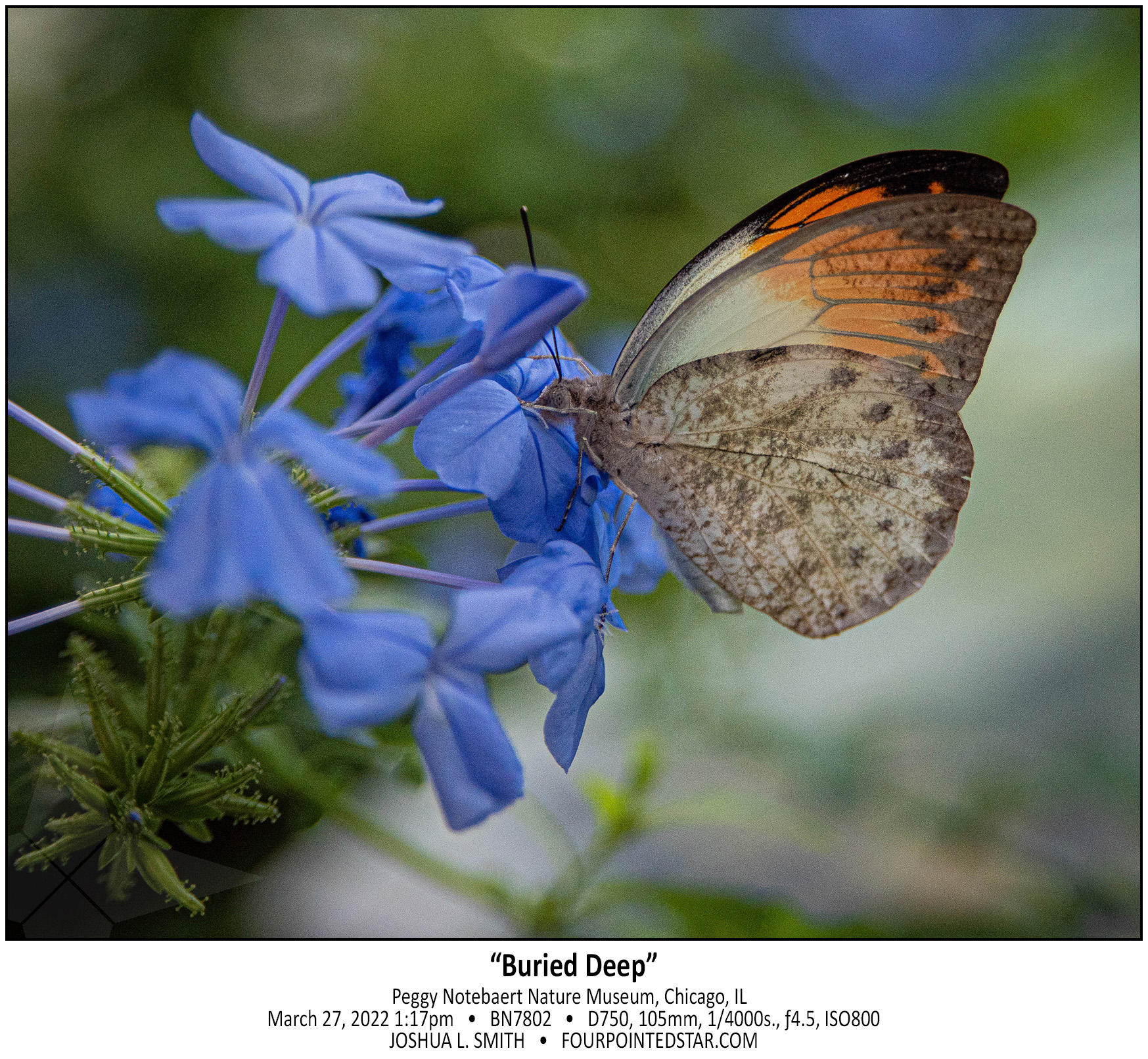 BN7802 220327 131726