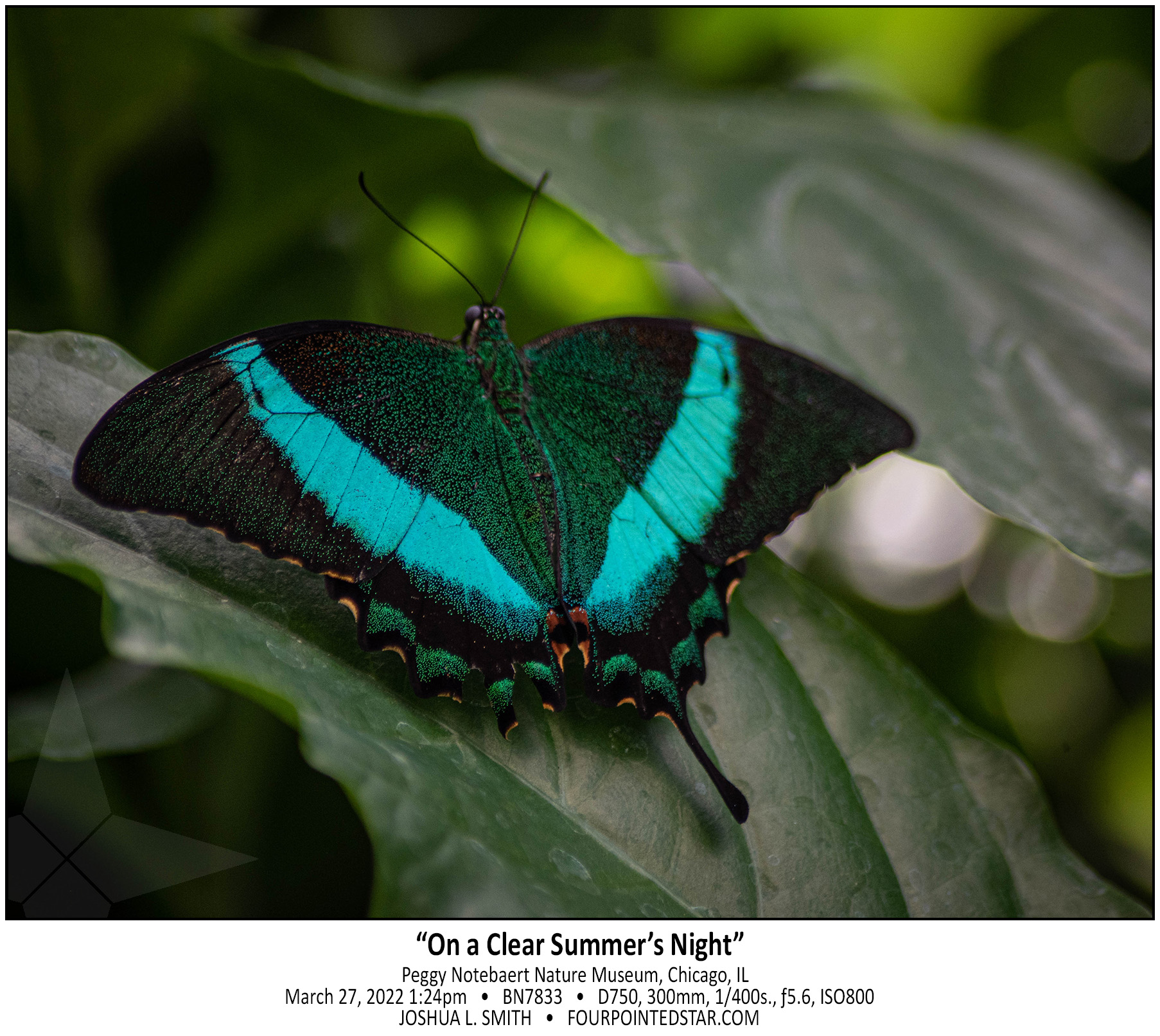 BN7833 220327 132434