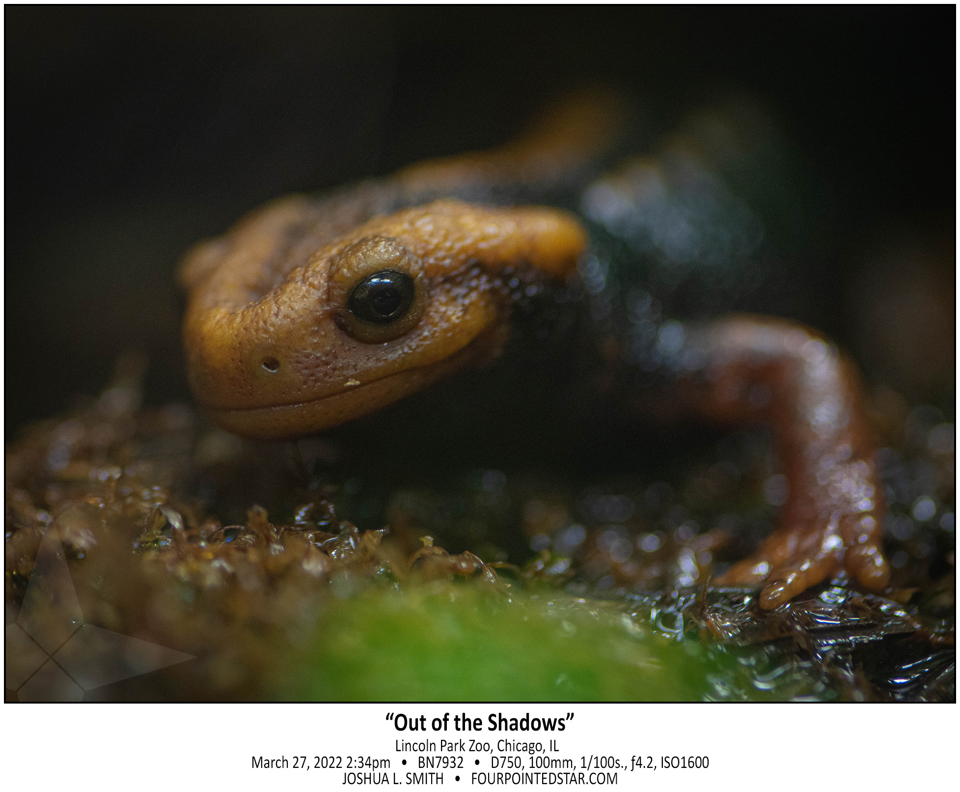 BN7932 220327 143453