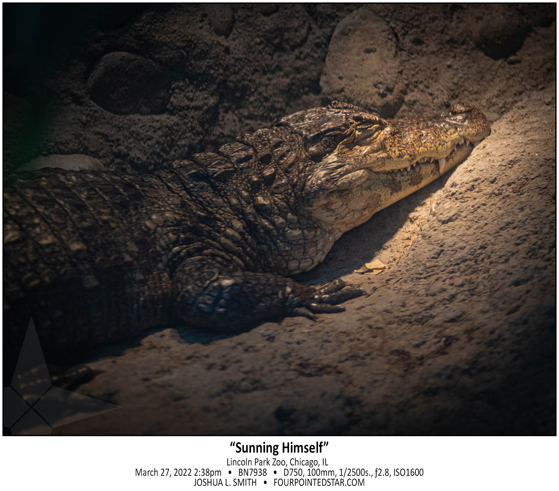 BN7938 220327 143835