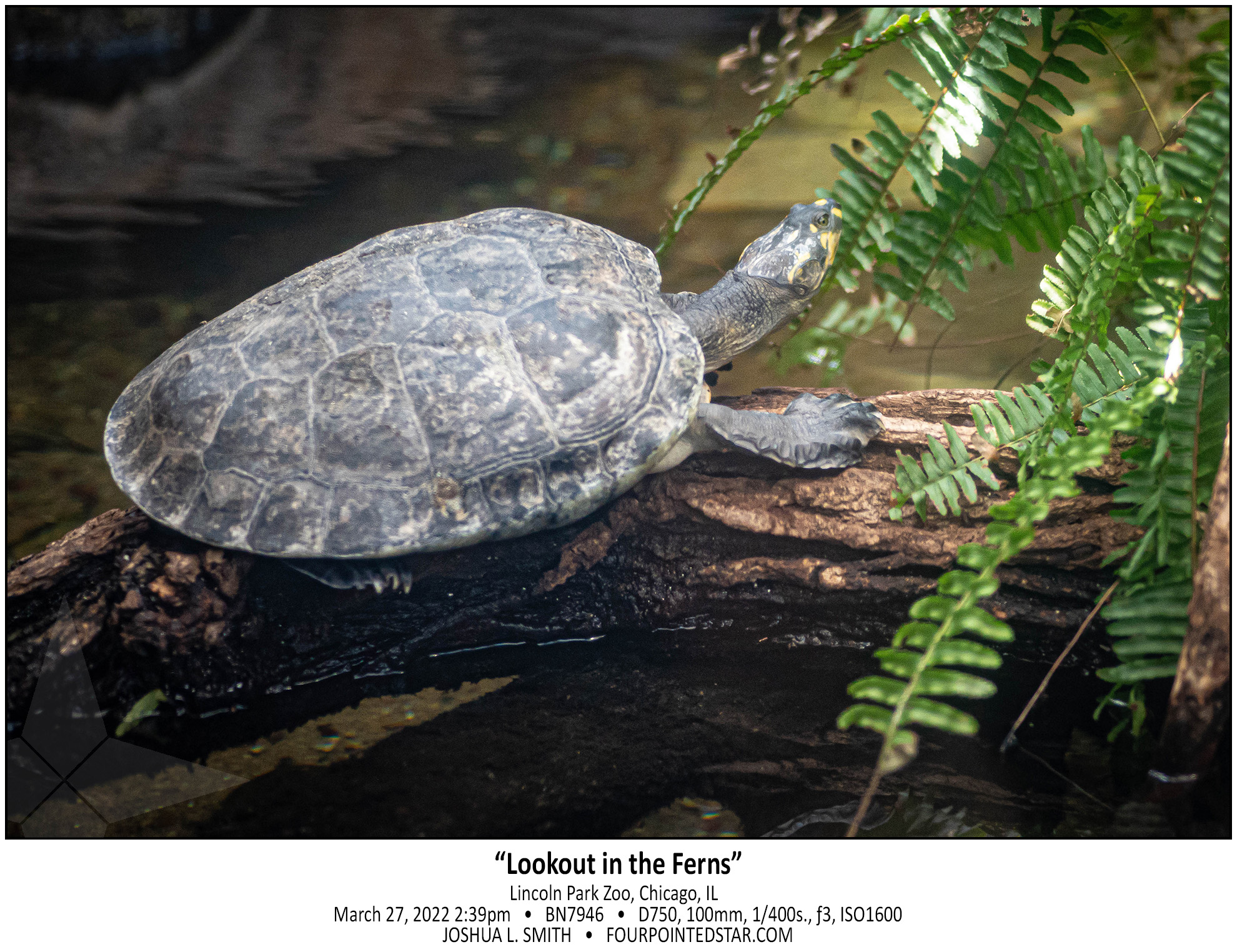 BN7946 220327 143923