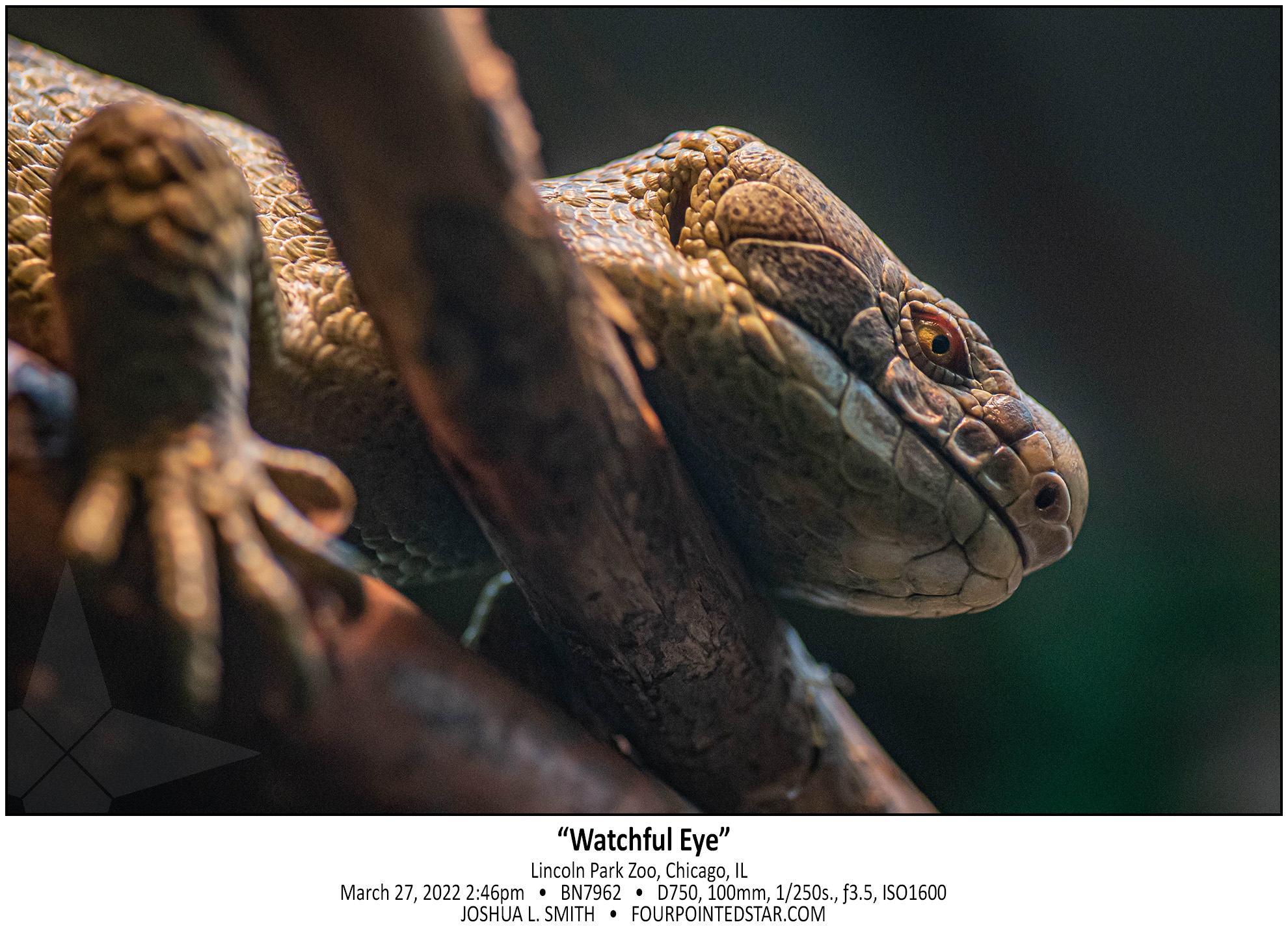 BN7962 220327 144636