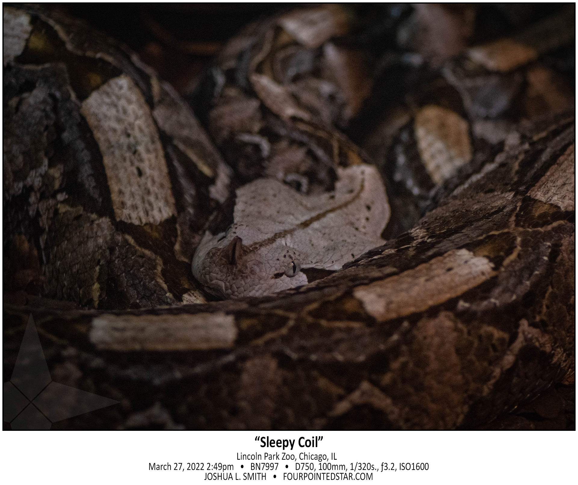 BN7997 220327 144932