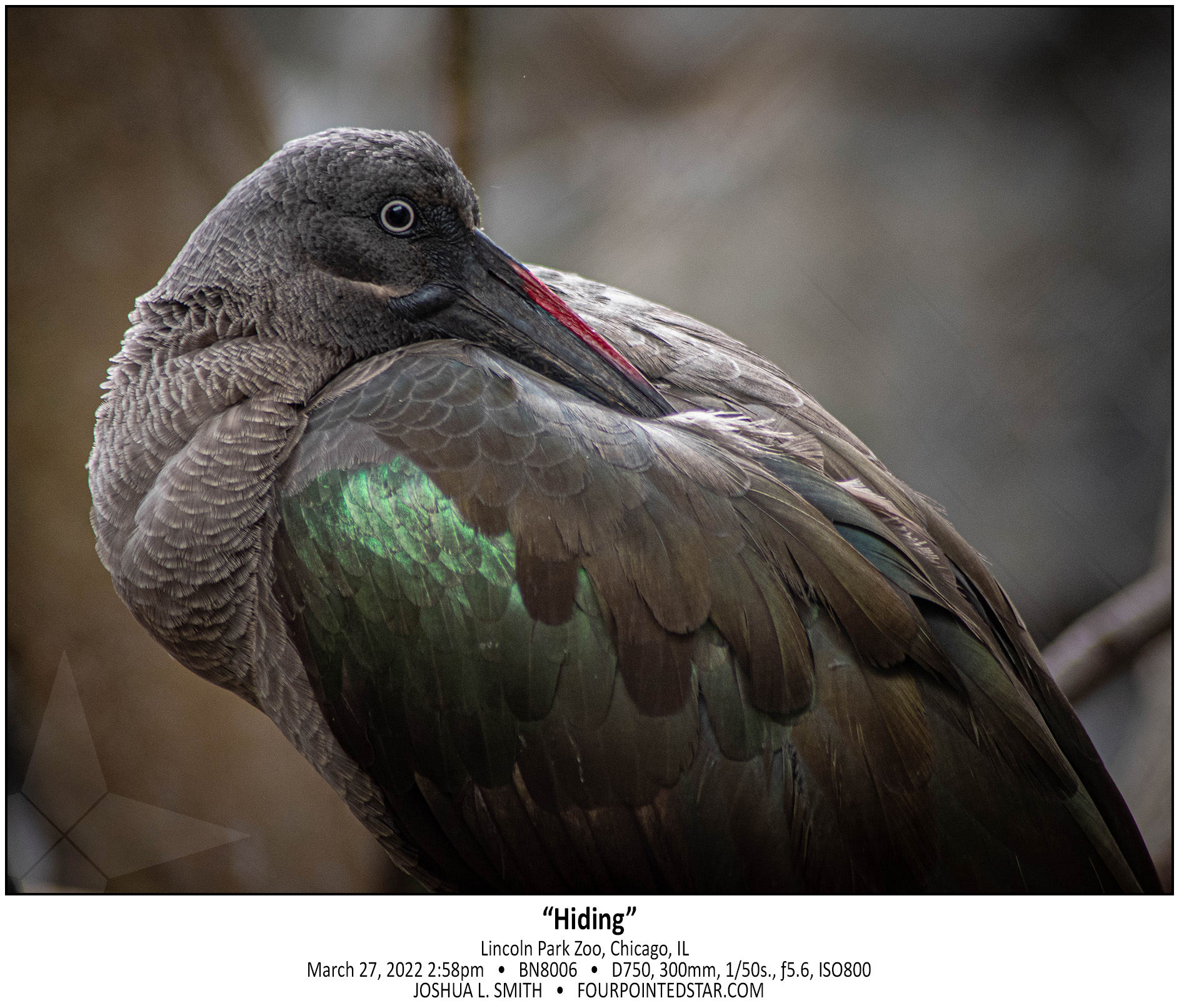 BN8006 220327 145851