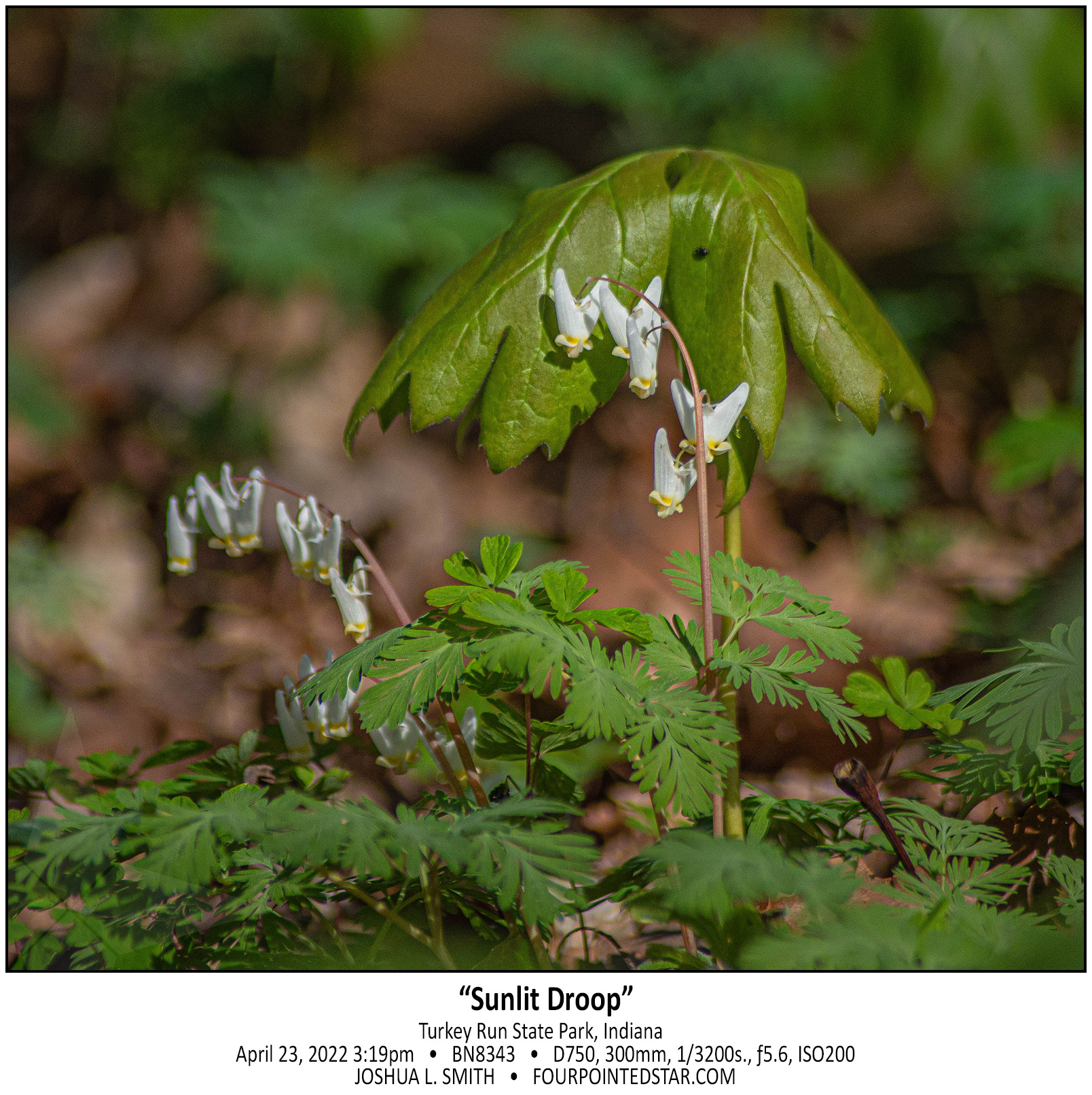 BN8343 220423 151914