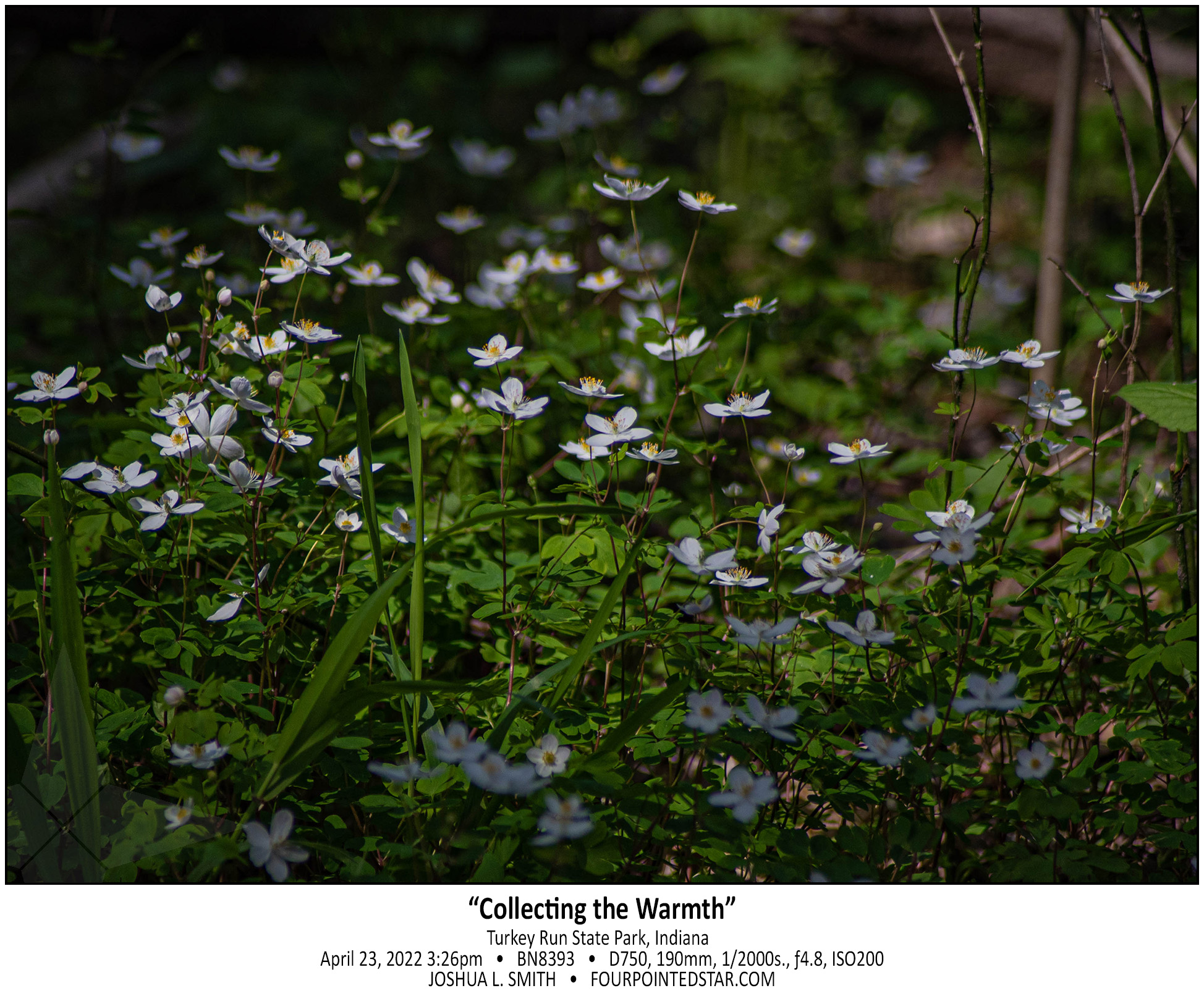 BN8393 220423 152637