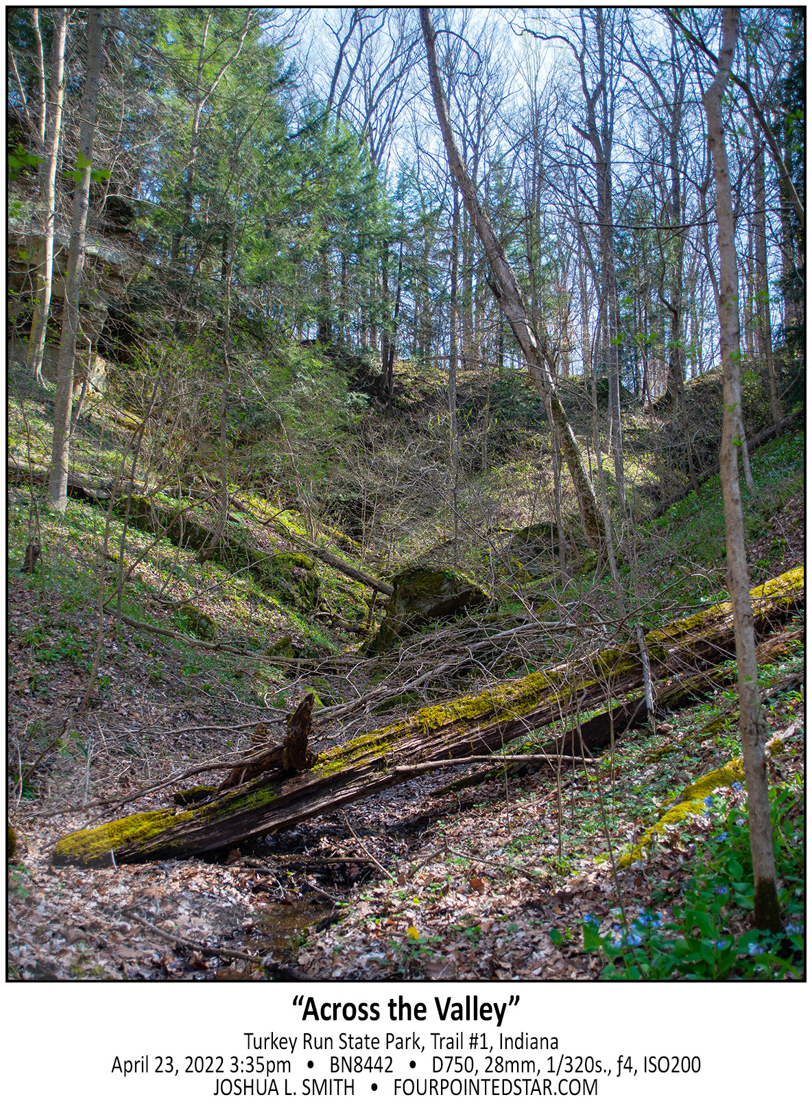 BN8442 220423 153500