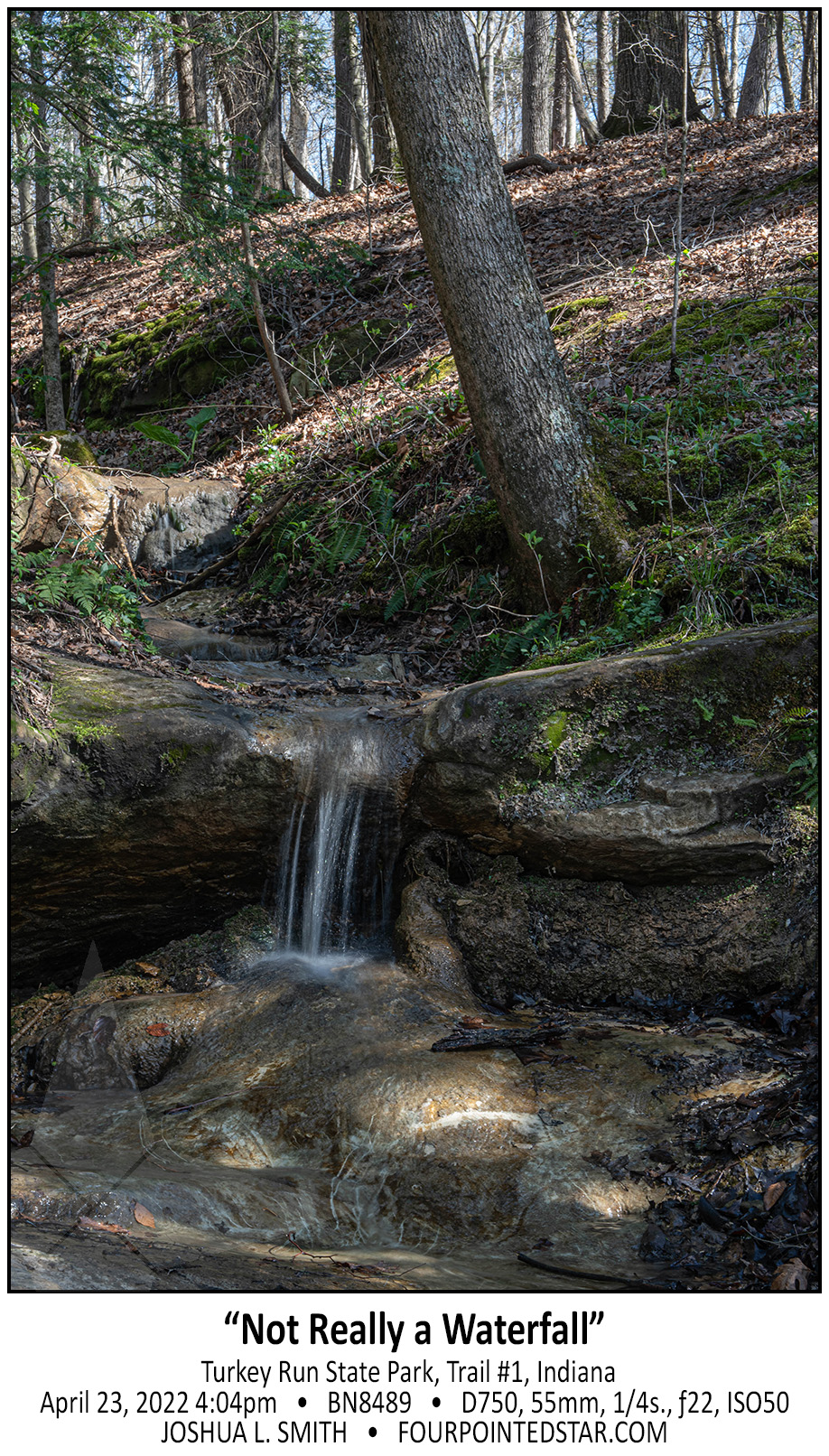 BN8489 220423 160440