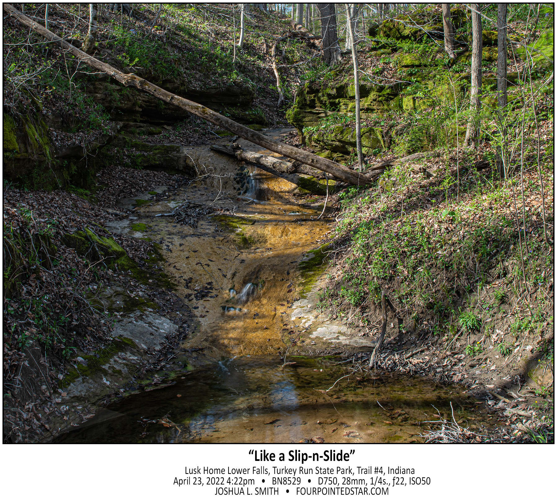 BN8529 220423 162200