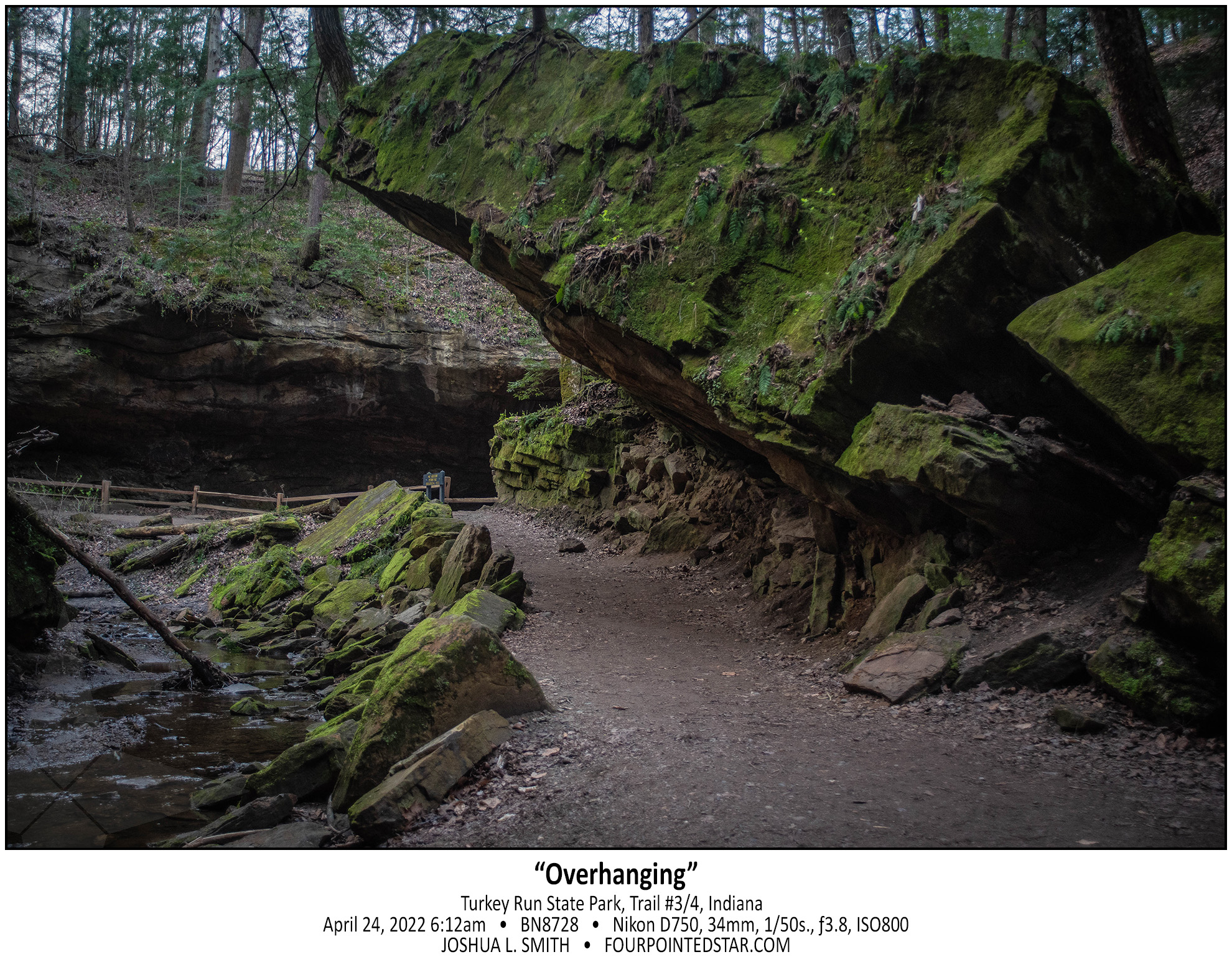 BN8728 220424 061221