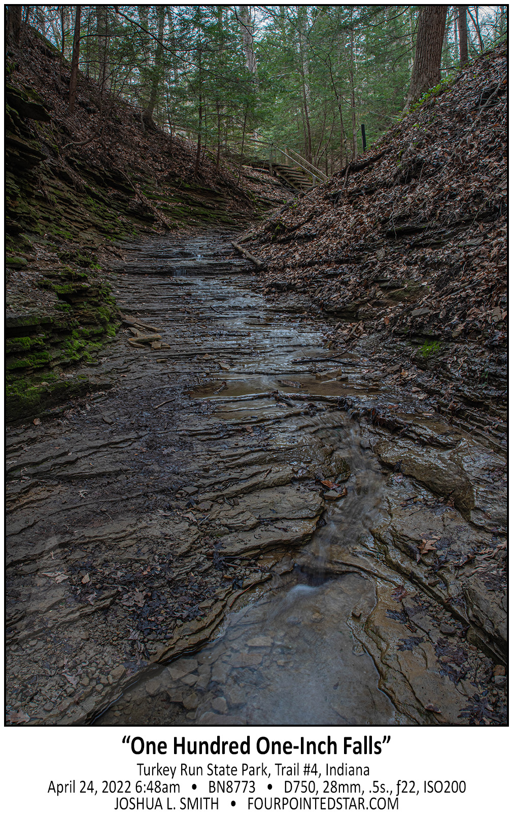 BN8773 220424 064813