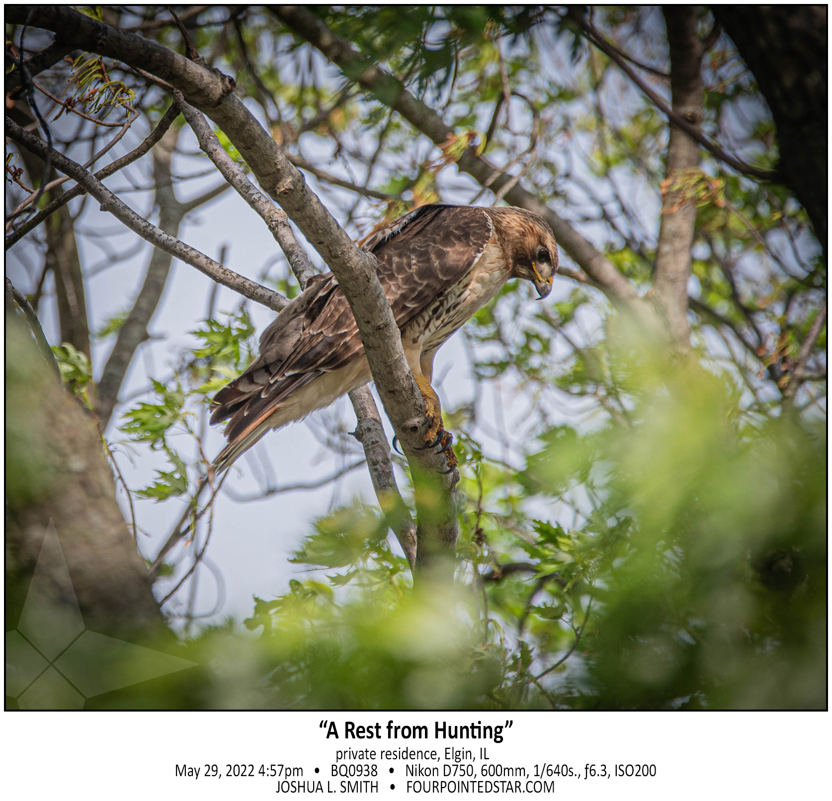 BQ0938 220529 165742