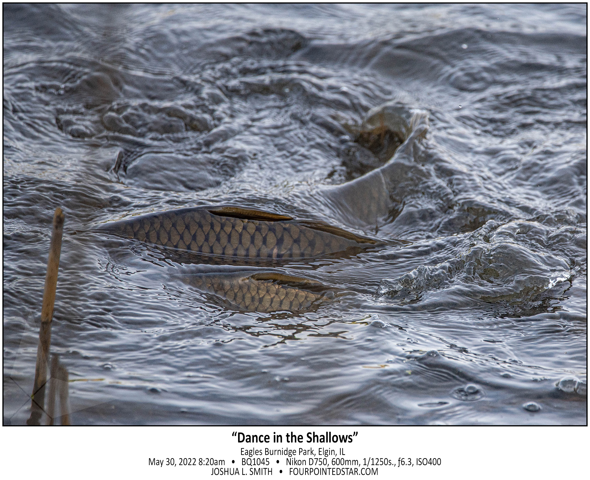 BQ1045 220530 082032