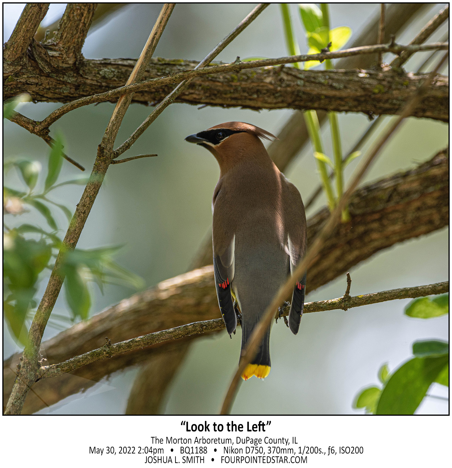 BQ1188 220530 140428