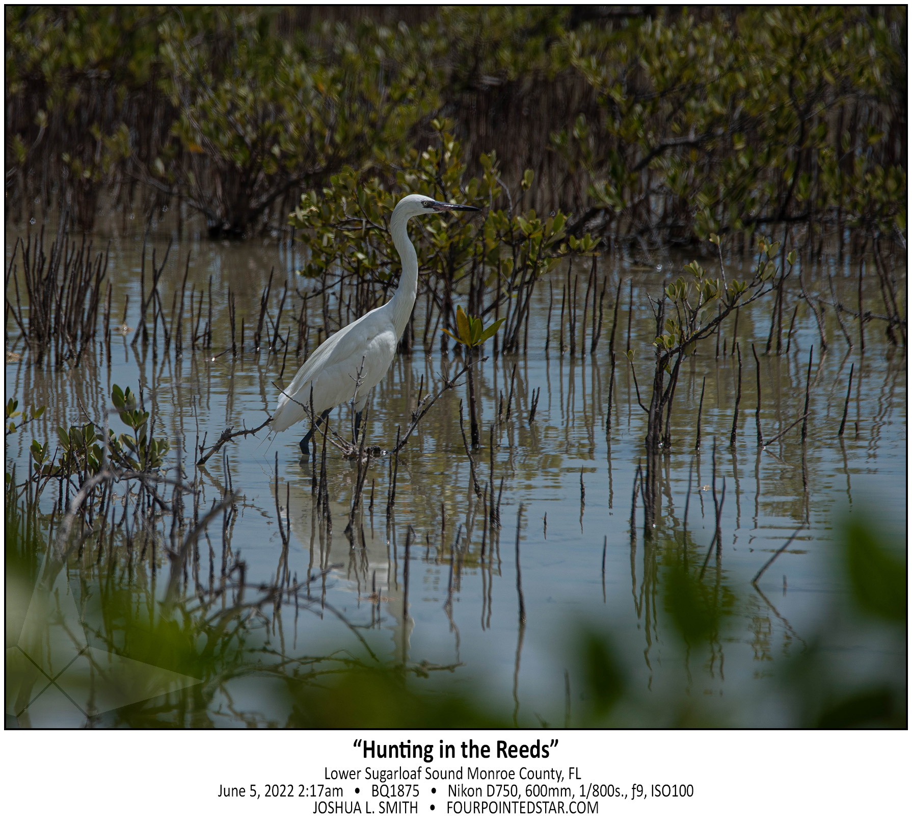 BQ1875 220605 141721