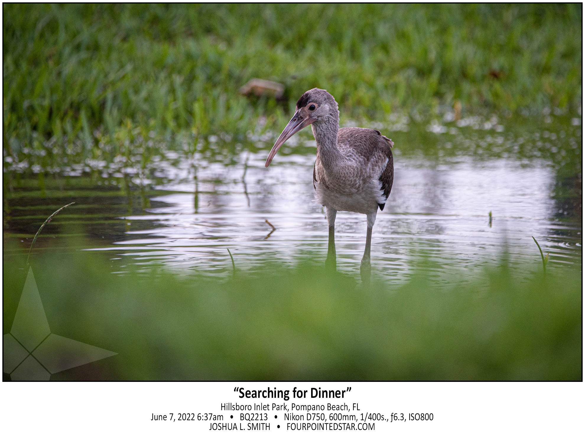 BQ2213 220605 141721