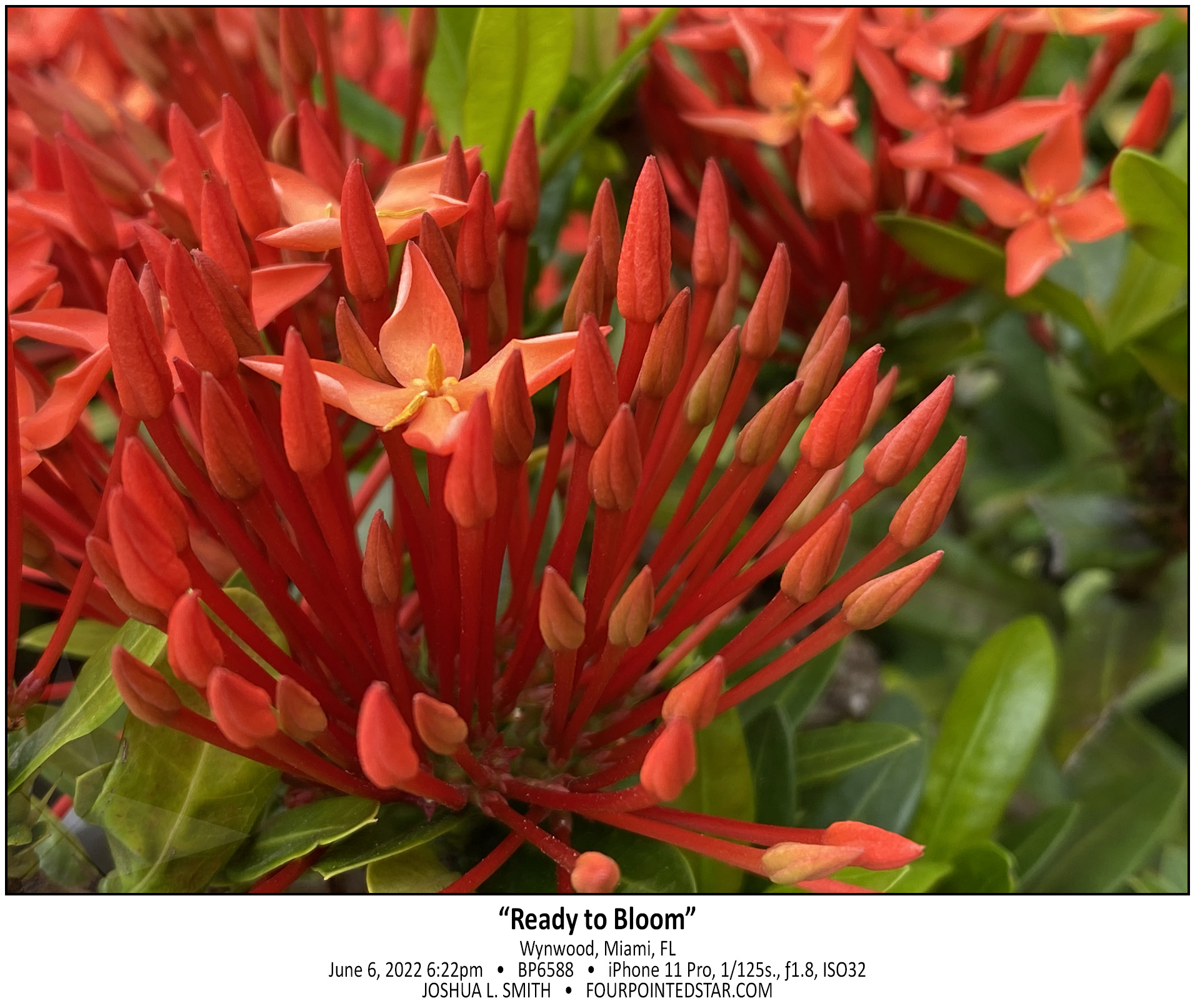 BP6588 220606 182222