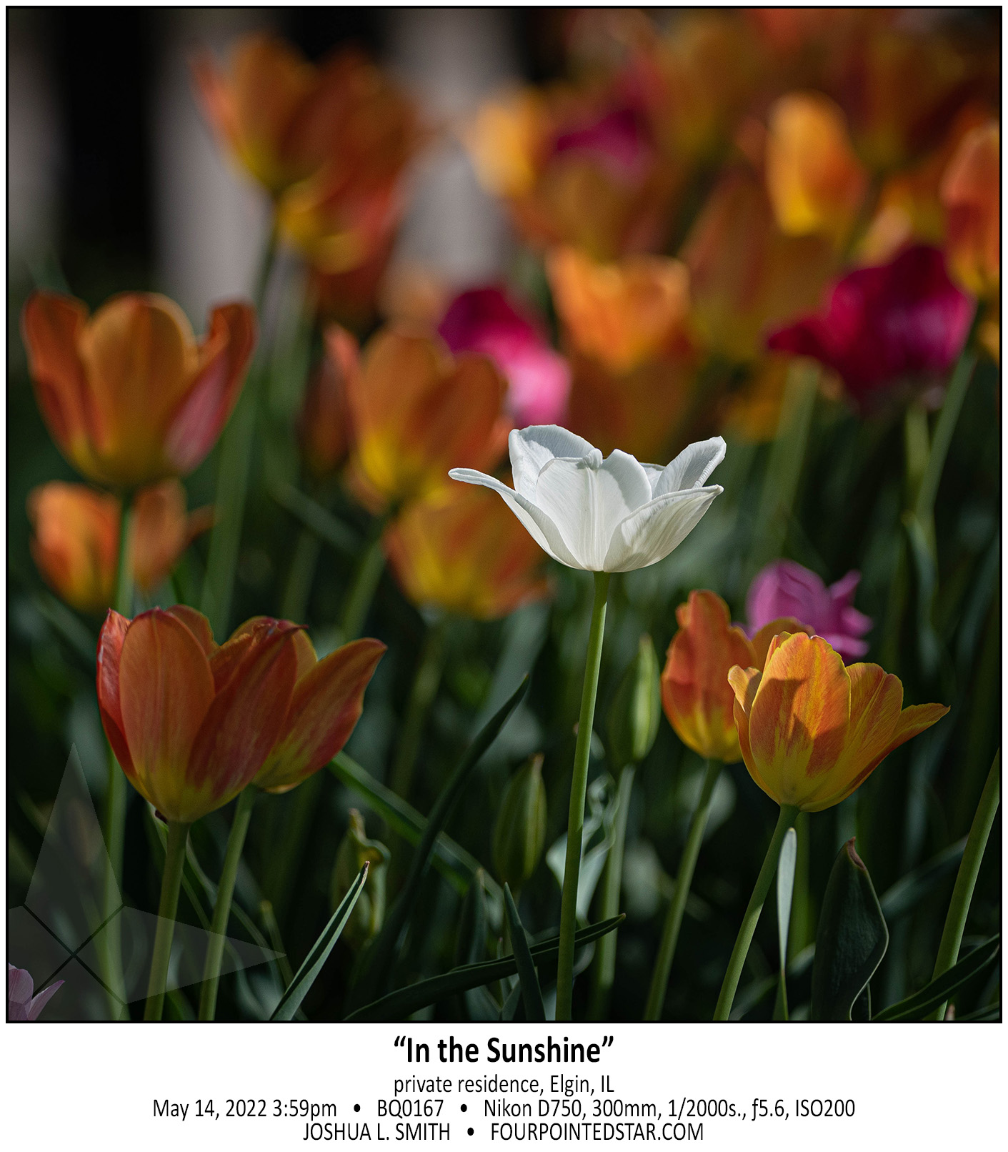 BQ0167 220514 155939