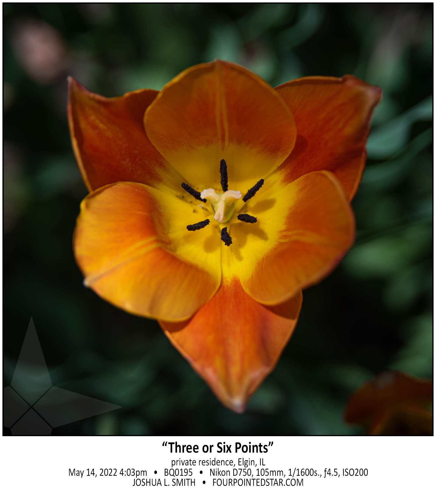 BQ0195 220514 160350