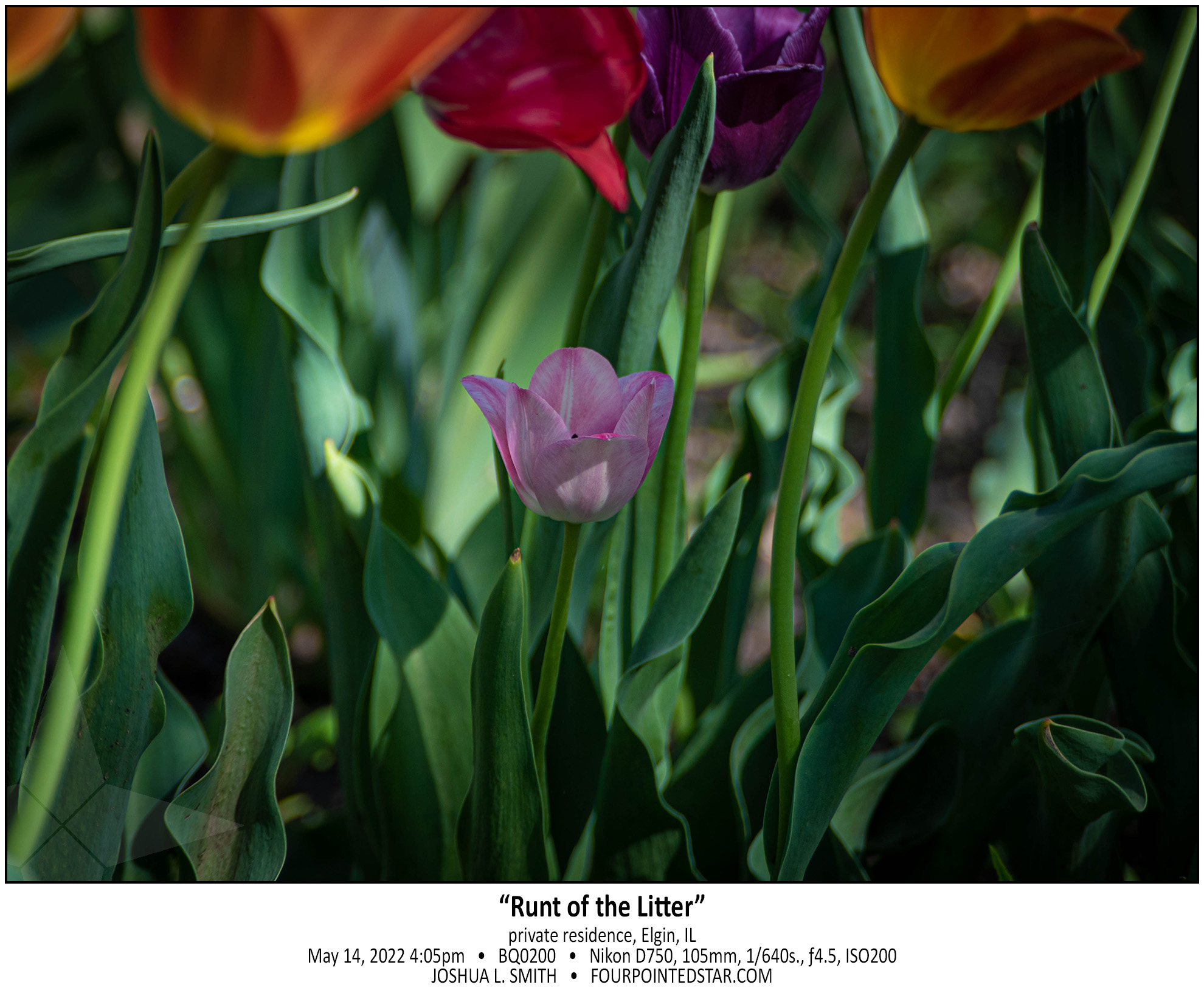 BQ0200 220514 160529