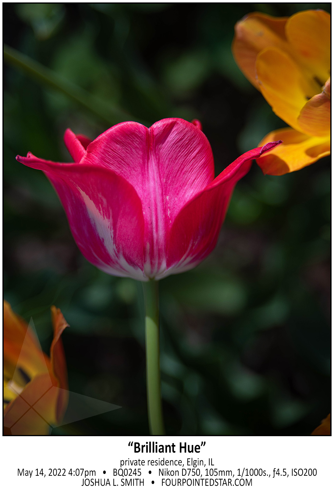 BQ0245 220514 160719