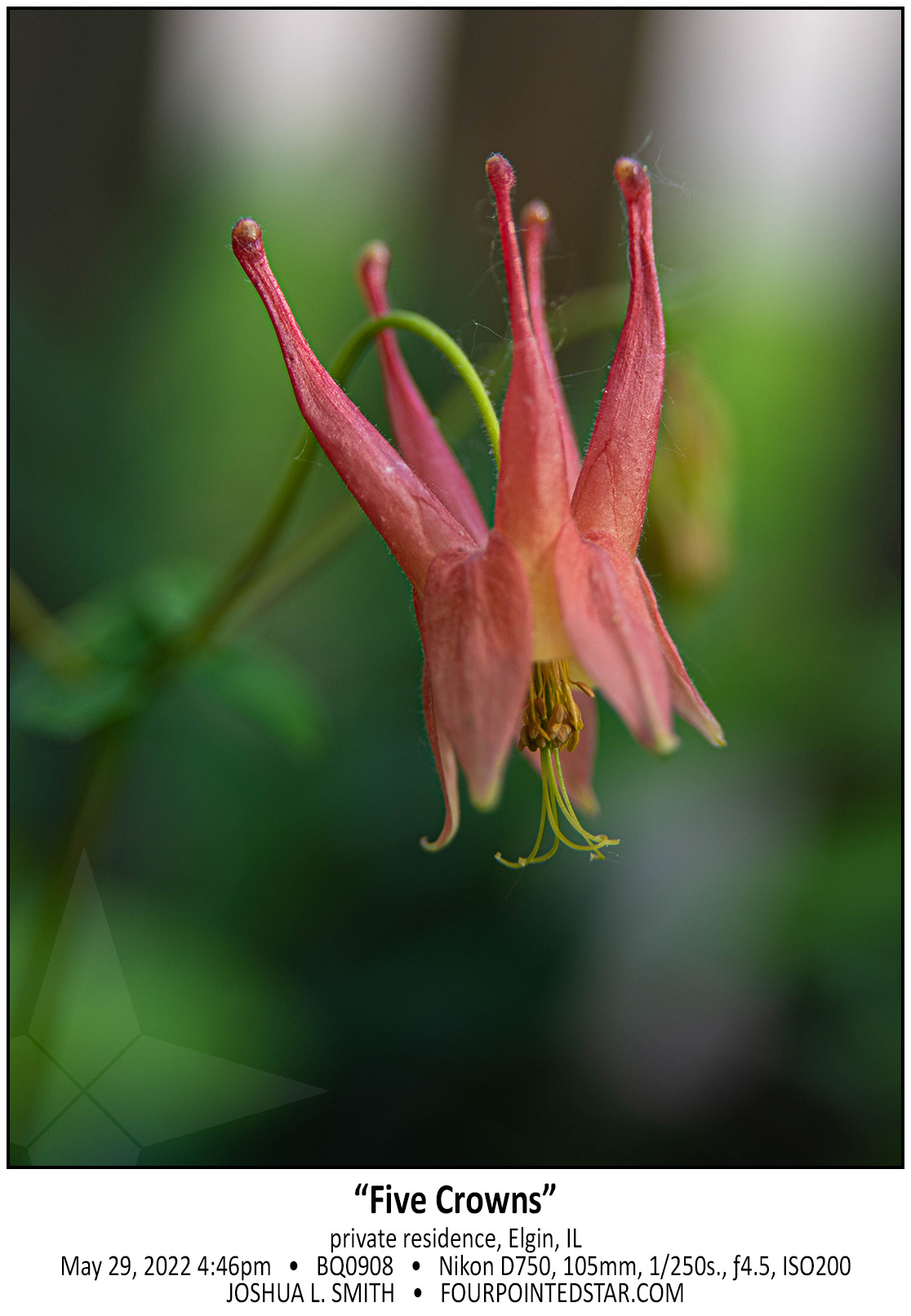 BQ0908 220529 164636