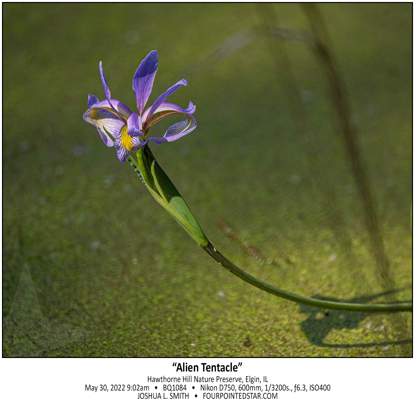 BQ1084 220530 090231