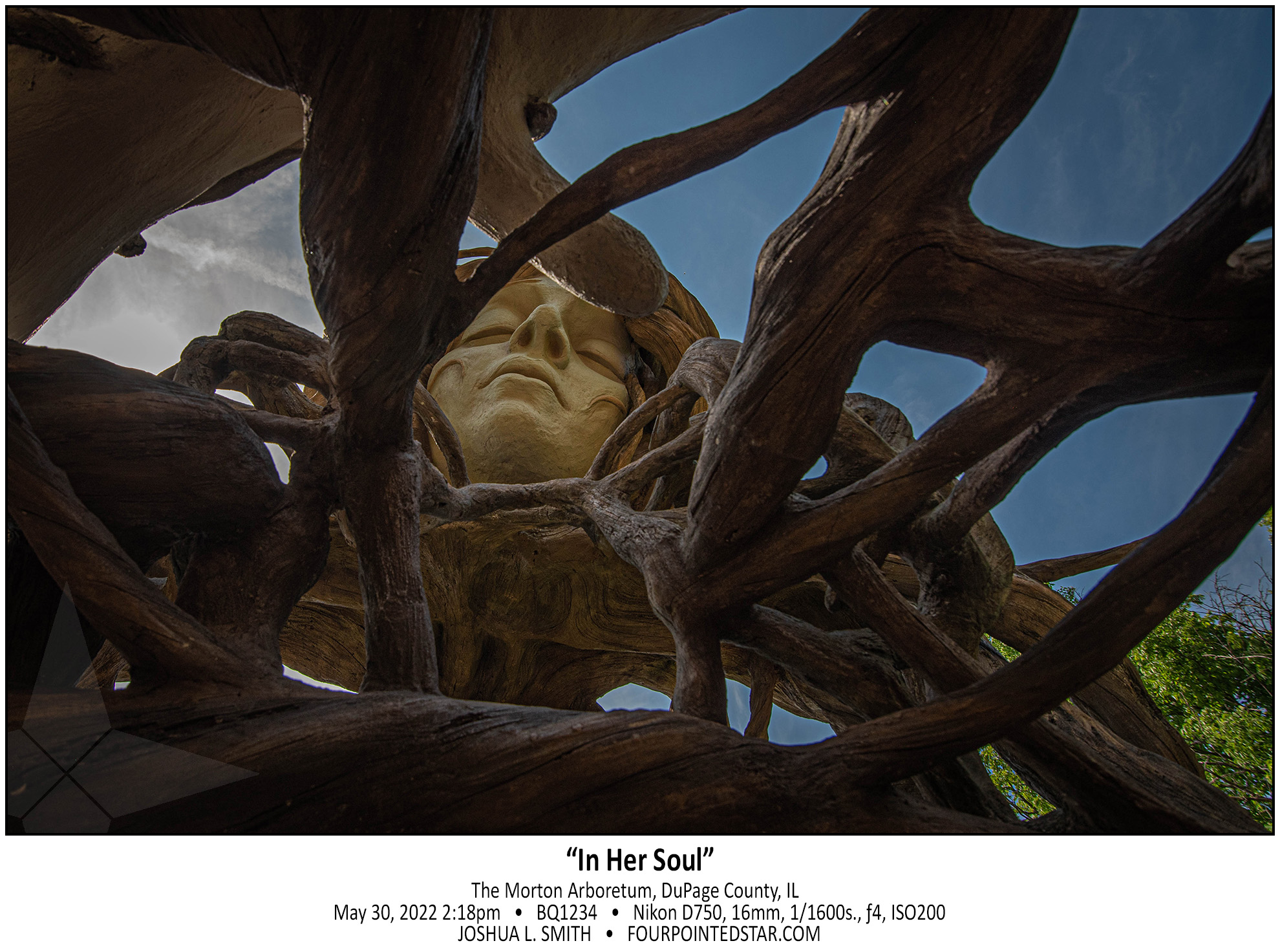 BQ1234 220530 141848