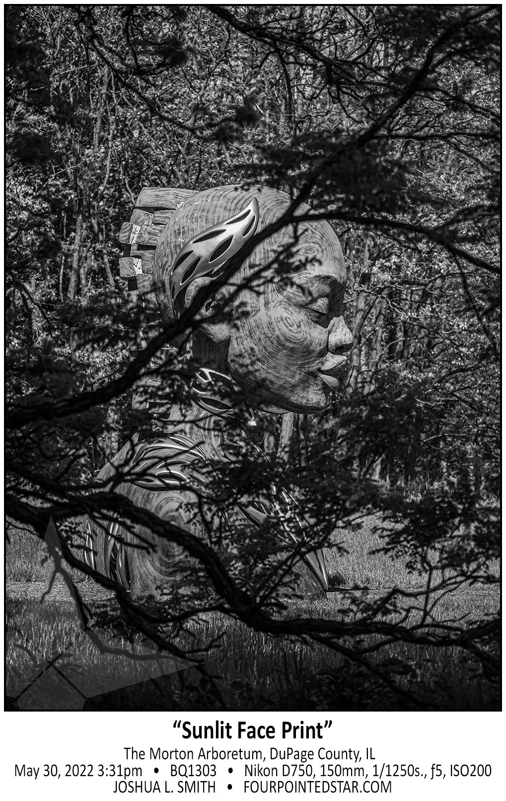 BQ1303 220530 153132