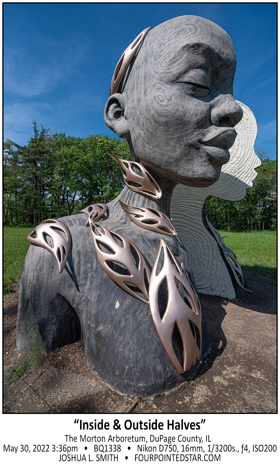 BQ1338 220530 153608