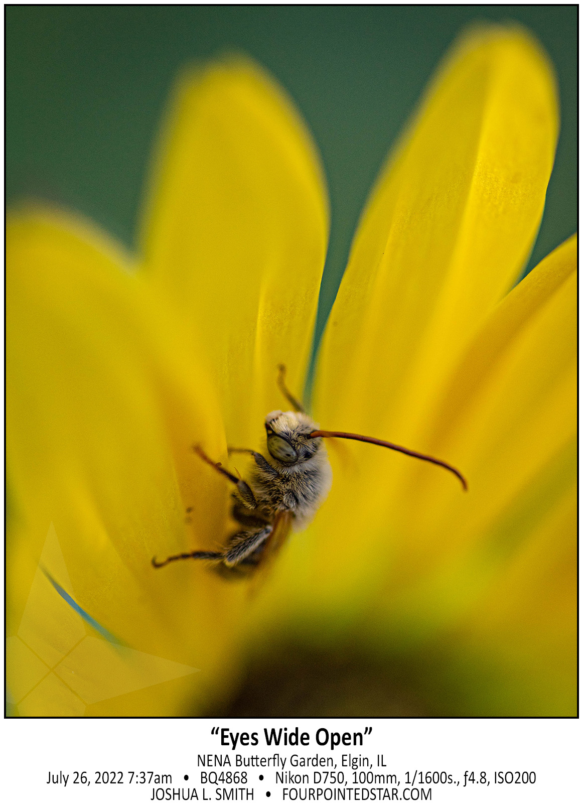 BQ4868 220726 073730