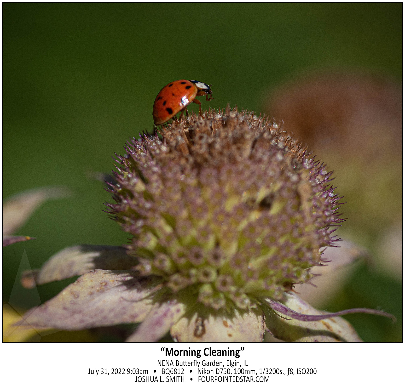 BQ6812 220731 090349