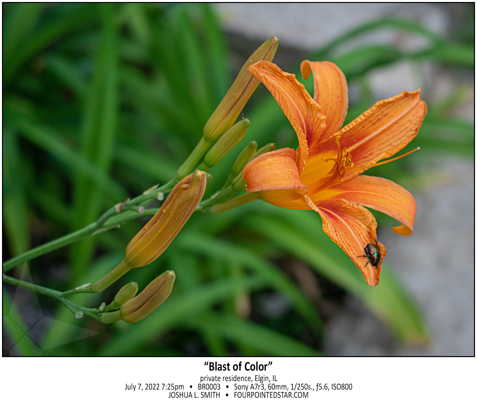 BR0003 220707 192535