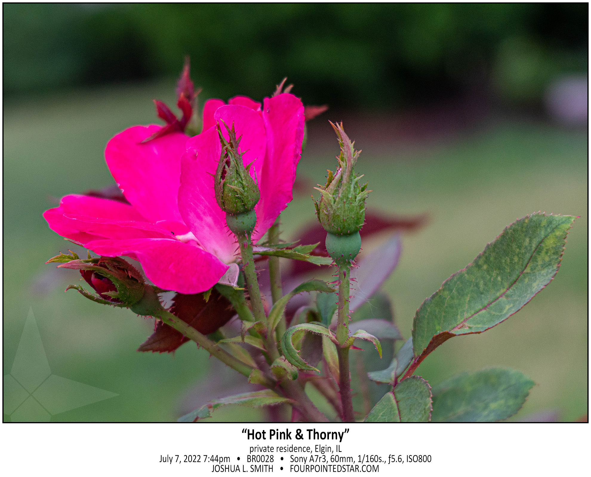 BR0028 220707 194422