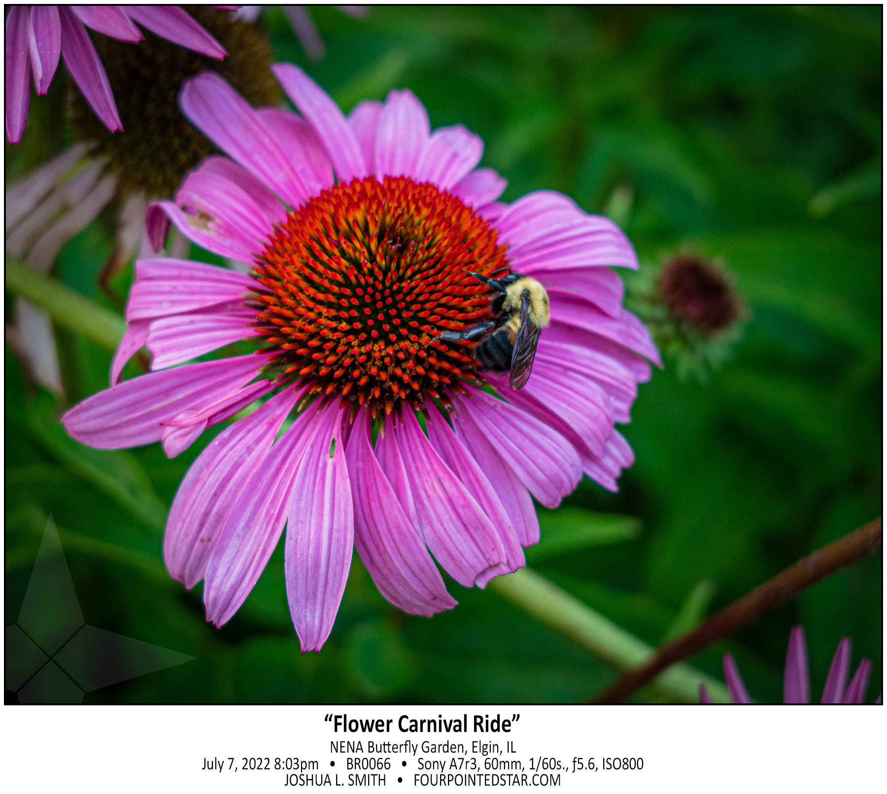 BR0066 220707 200304