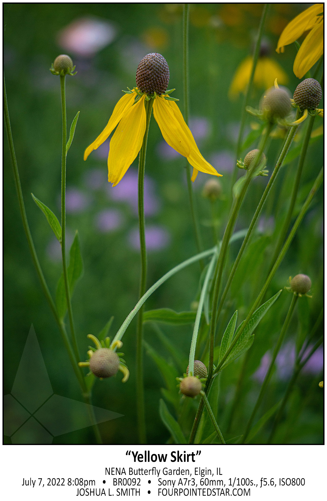 BR0092 220707 200829