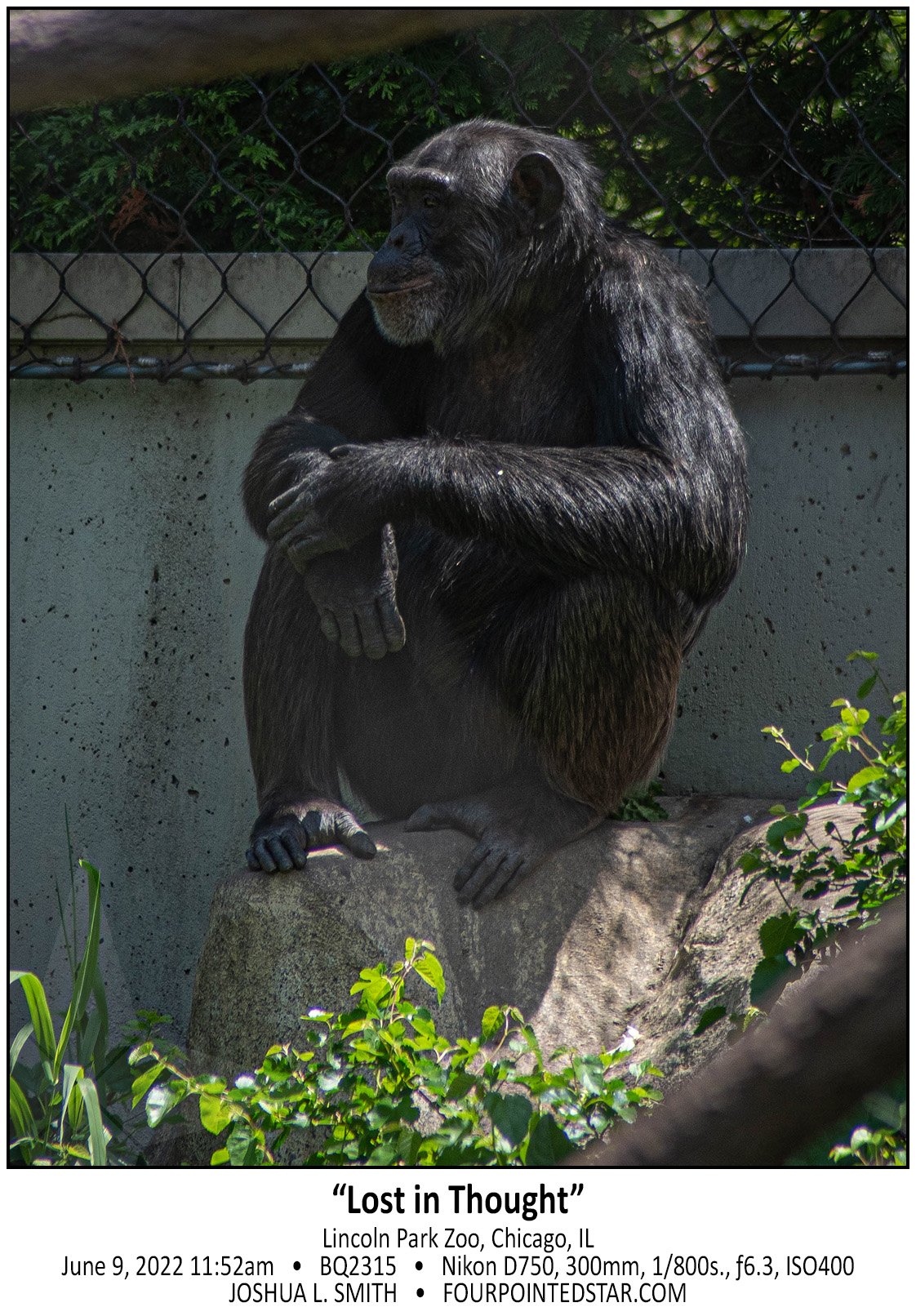 BQ2315 220609 115228