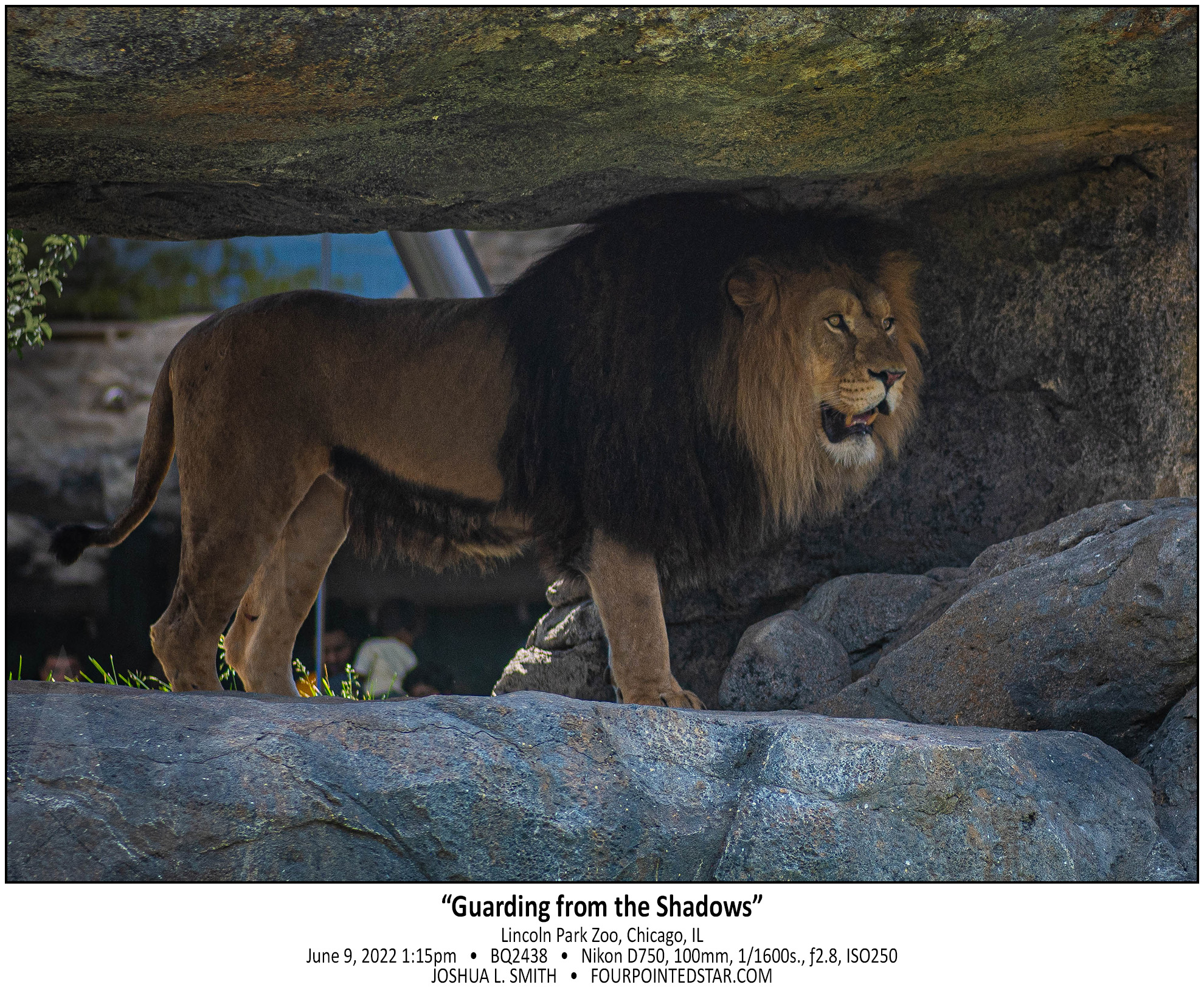 BQ2438 220609 131519