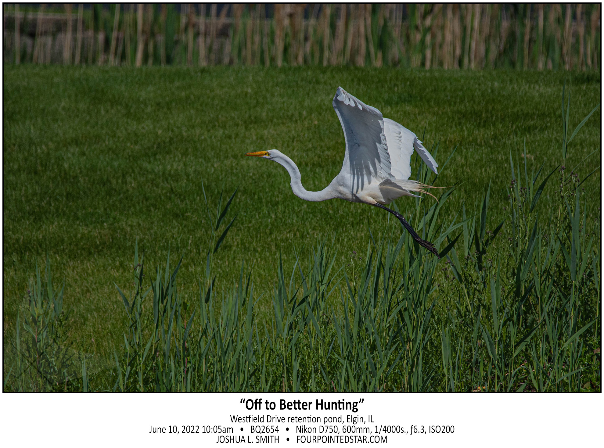 BQ2654 220610 100612