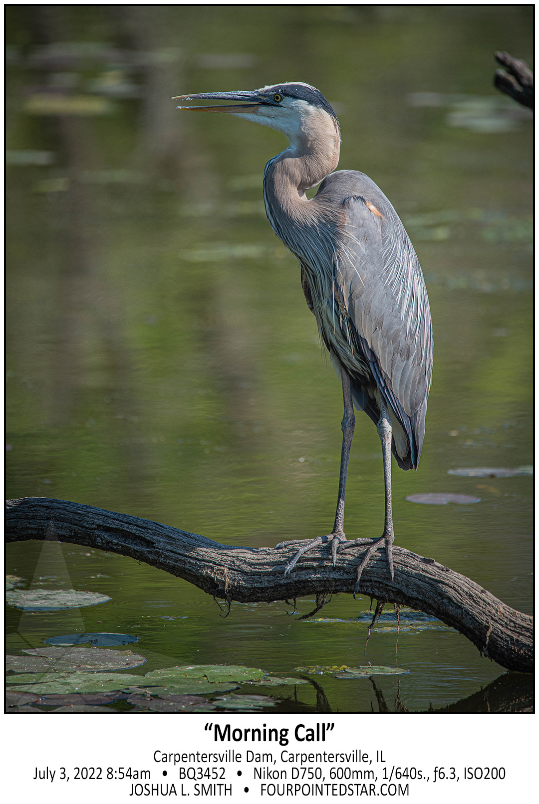 BQ3452 220703 085417