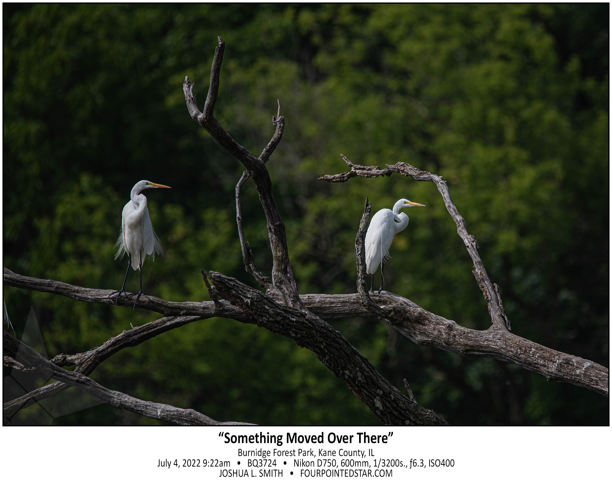 BQ3724 220704 092210