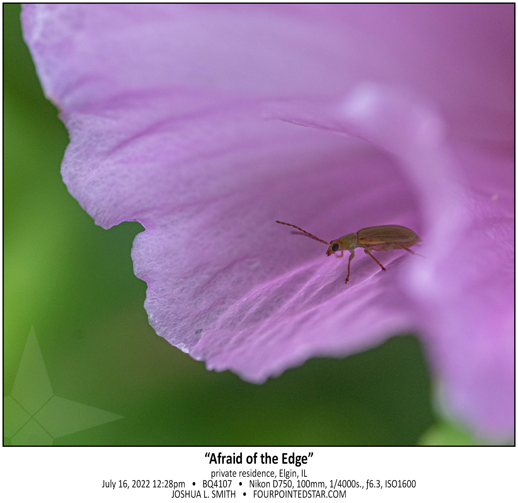 BQ4107 220716 122824